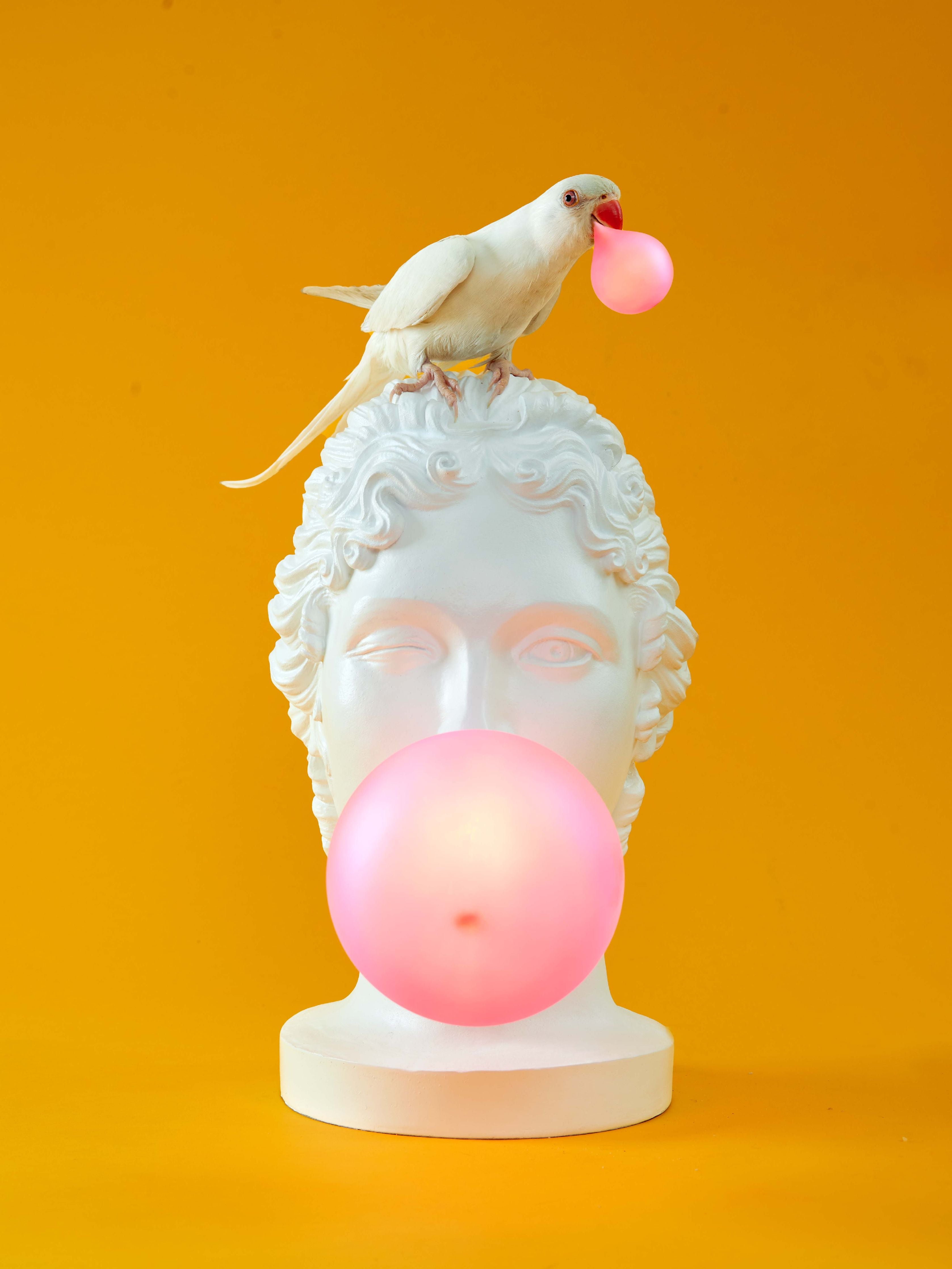 Seletti Grace Lamp