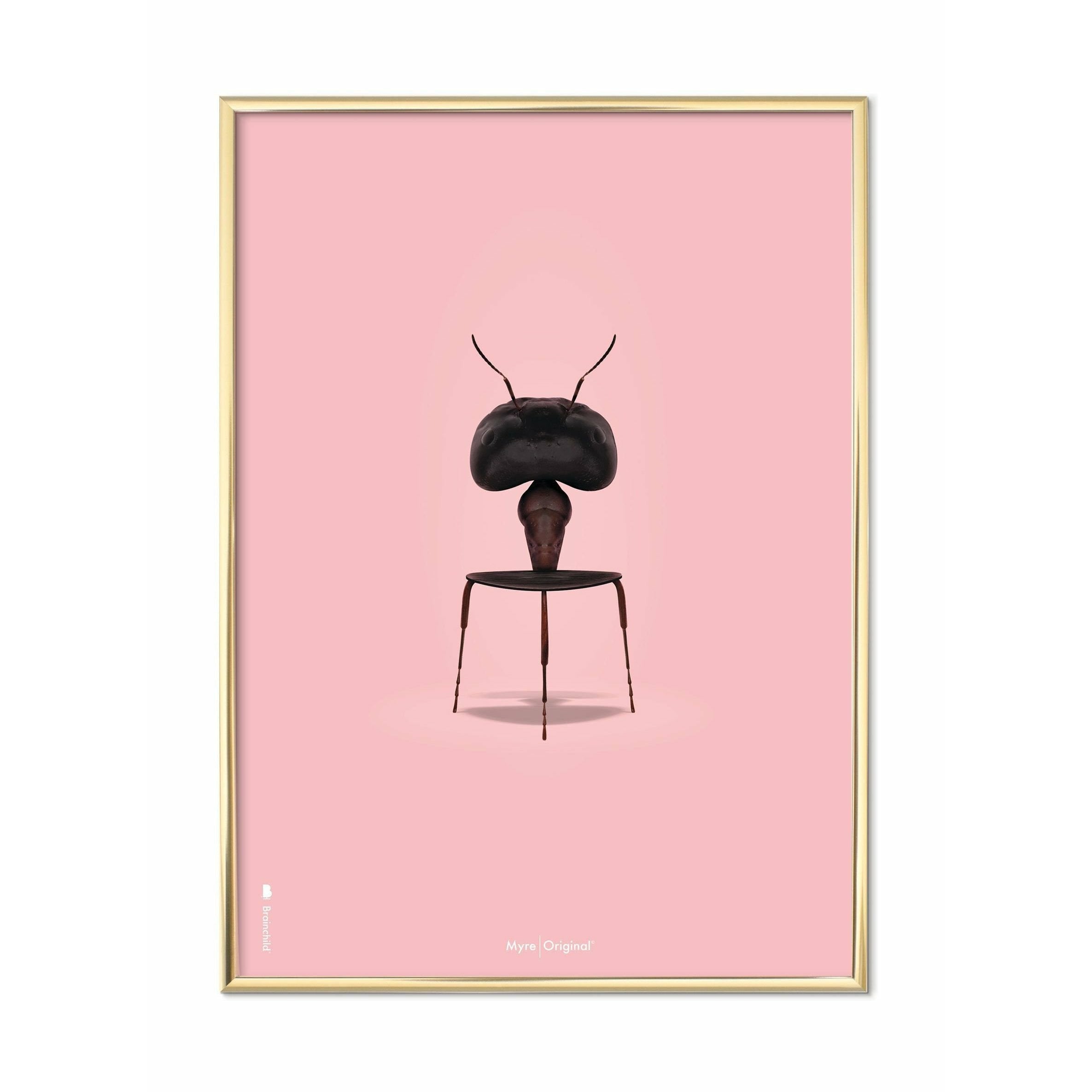 Brainchild Ant Classic plakát, mosazný barevný rám A5, růžové pozadí