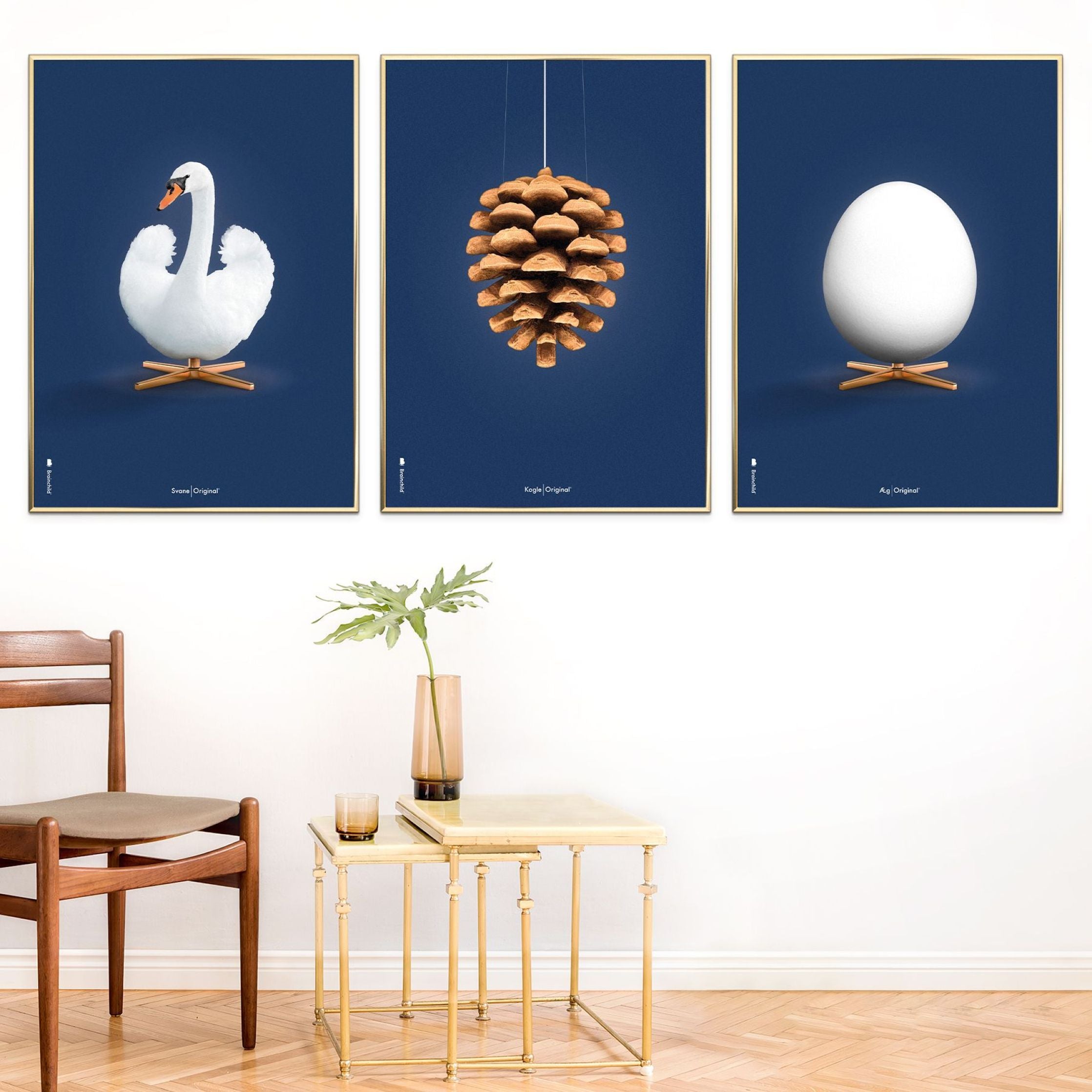 Klasický plakát s vaječným mozkem bez rámu 70 x100 cm, tmavě modré pozadí