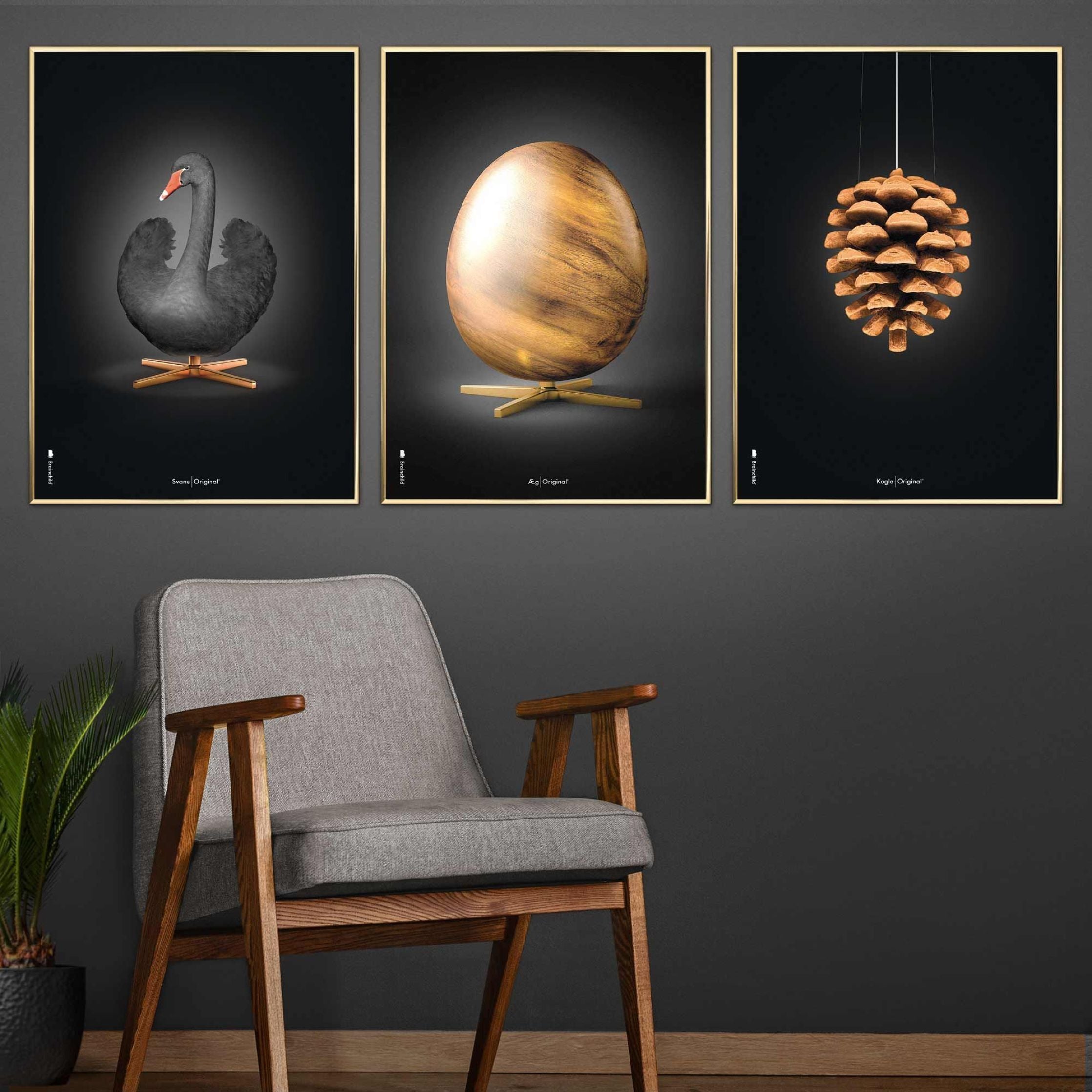 Plakát vejce z mozku, rám vyrobený z lehkého dřeva 30x40 cm, černá