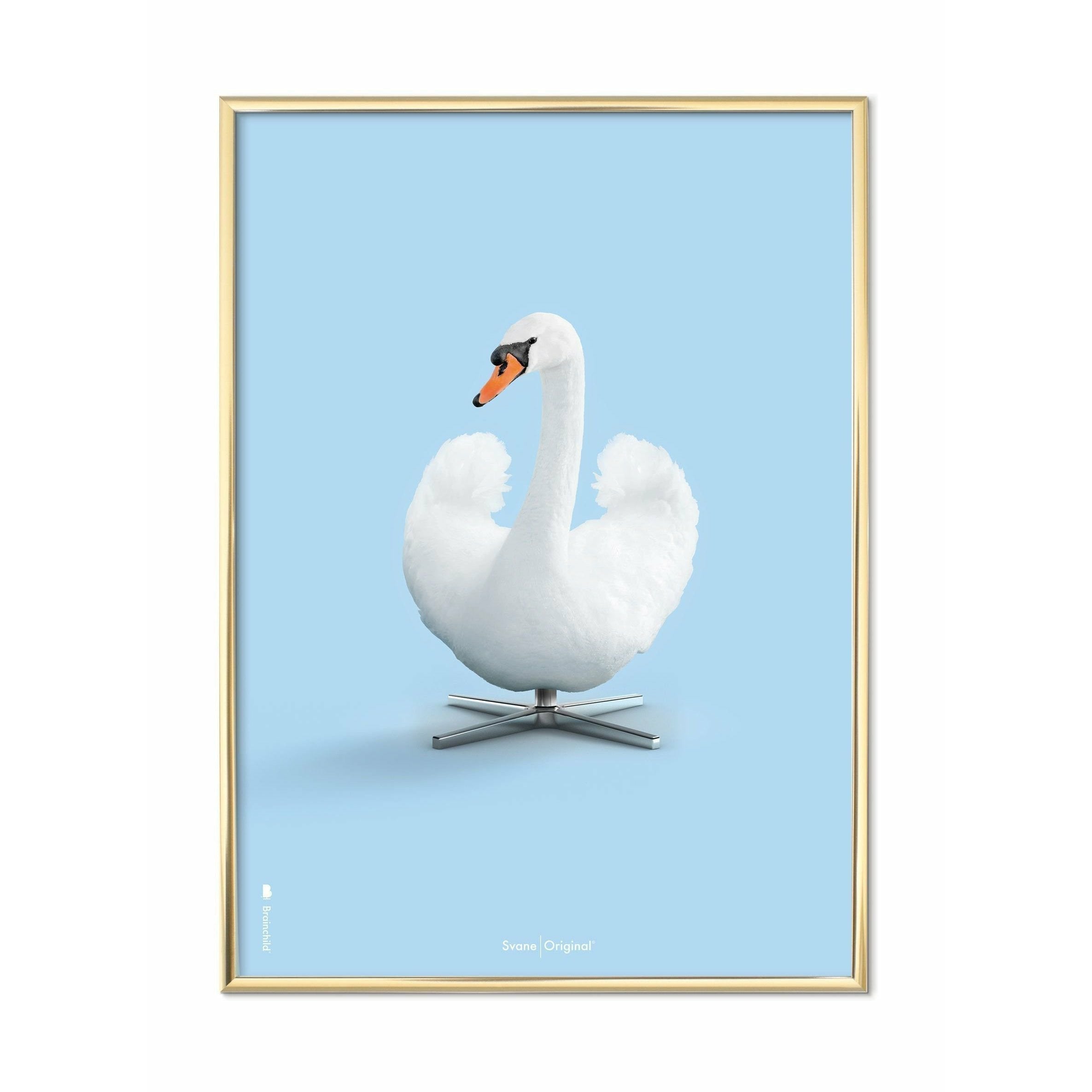Klasický plakát s labuťovým plakátem, mosazný barevný rám 30x40 cm, světle modré pozadí