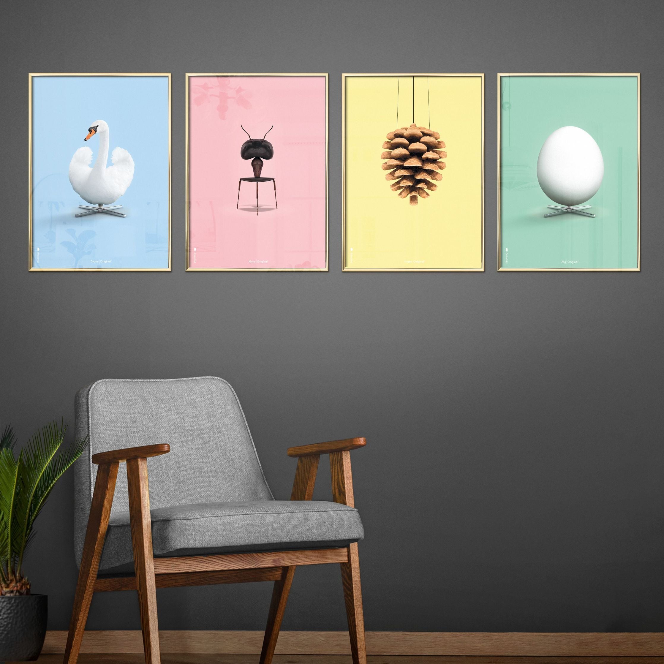 Klasický plakát s labutí mosazi, mosazný barevný rám A5, světle modré pozadí