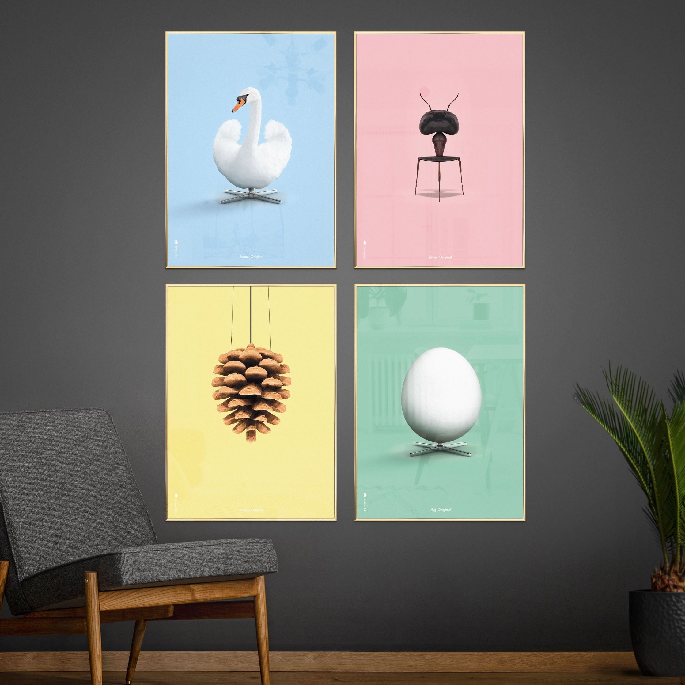 Klasický plakát s labutí mosazi, mosazný barevný rám A5, světle modré pozadí