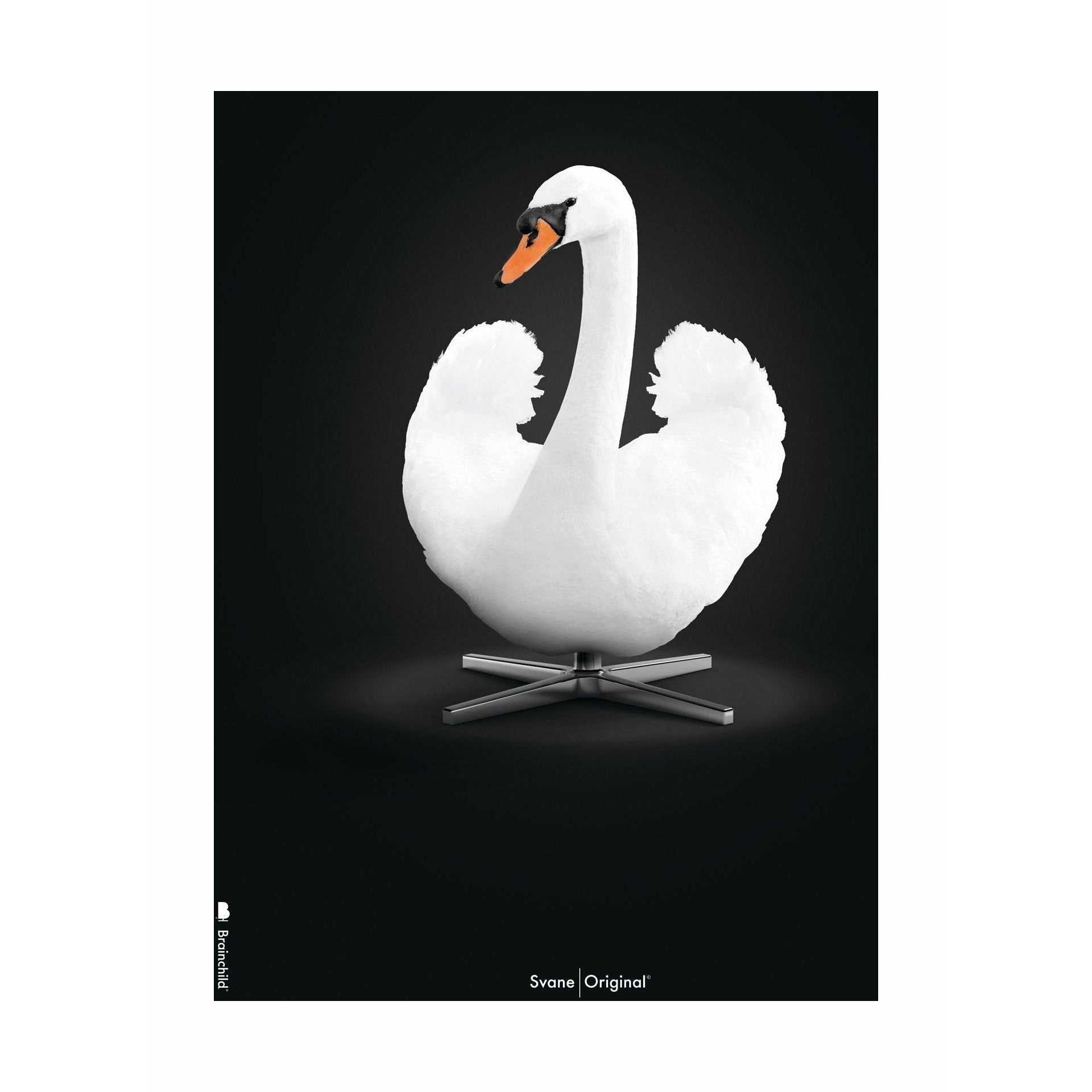 Klasický plakát Brainchild Swan bez rámu 30 x40 cm, bílé/bílé pozadí