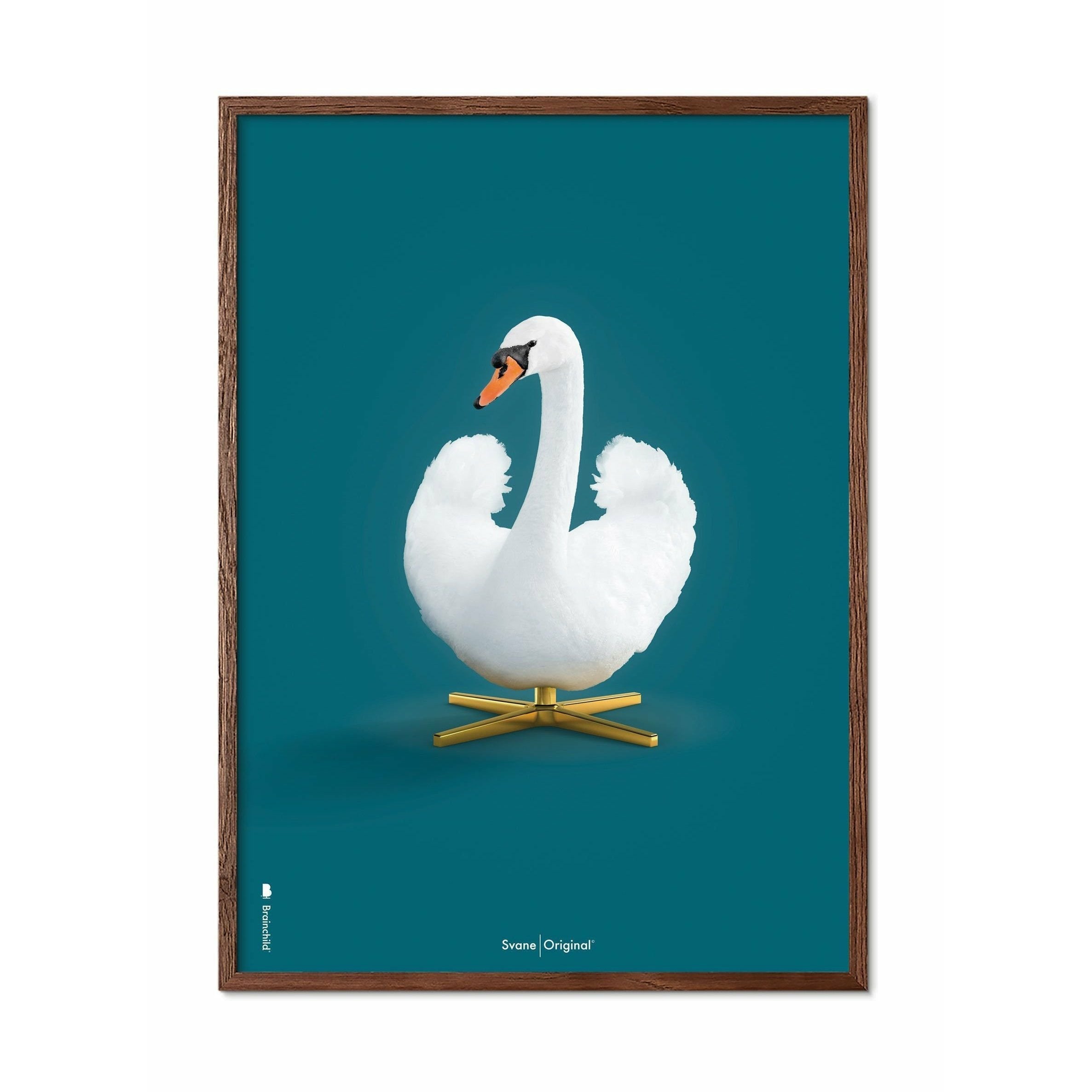 Brainchild Swan Classic Poster, Dark Wood Frame 30x40 Cm, Petroleum Blue Background