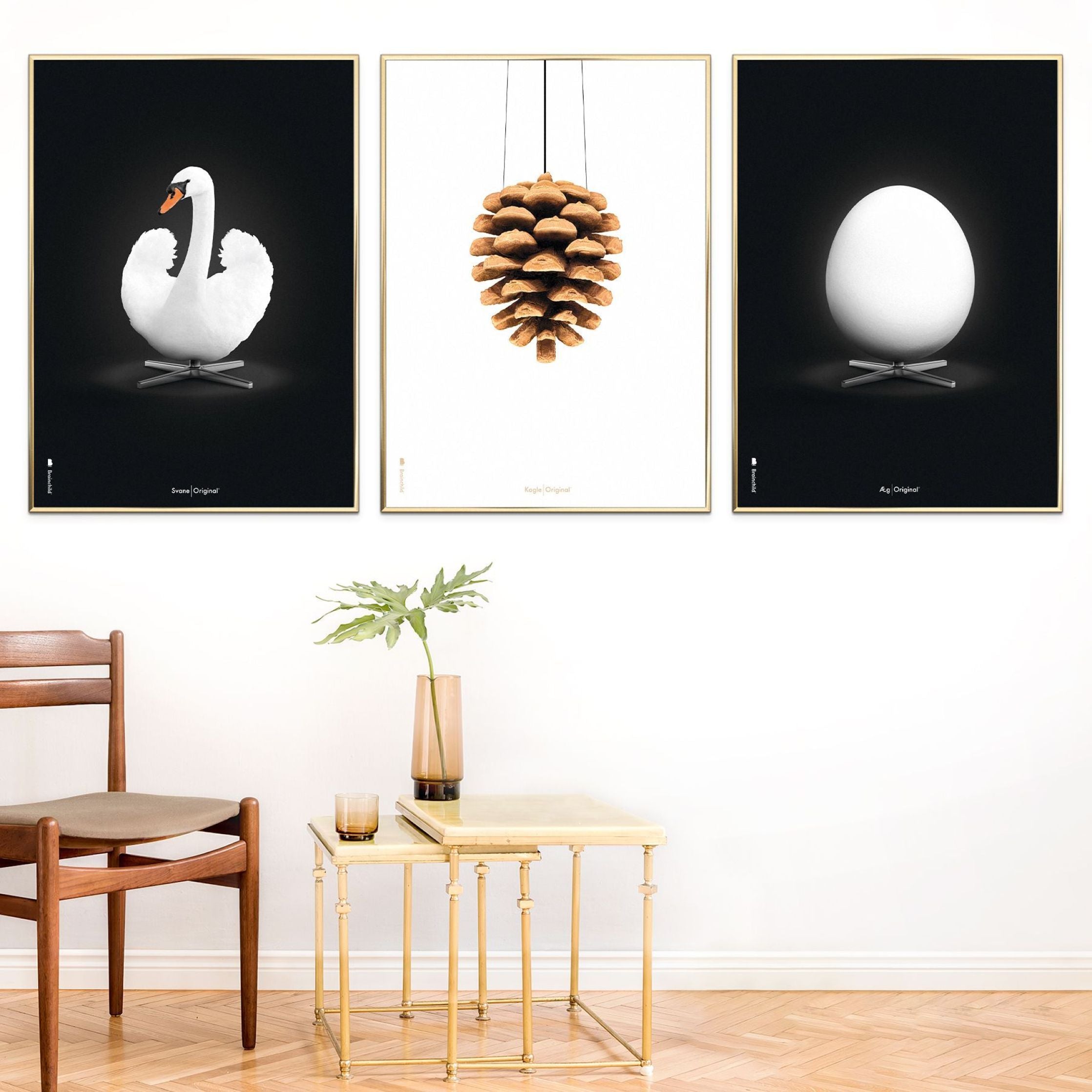 Klasický plakát s labutí mozkem, tmavý dřevěný rám A5, bílé/bílé pozadí