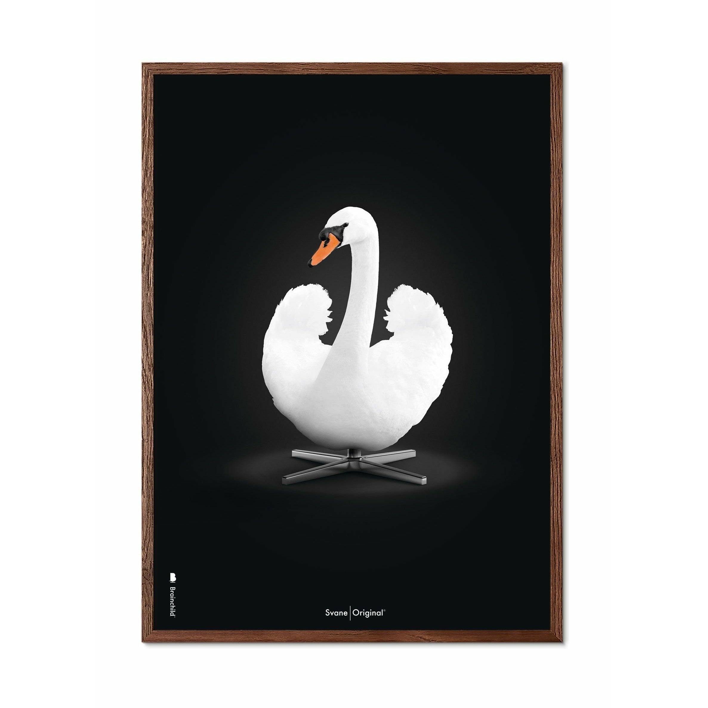 Klasický plakát s labutí mozkem, tmavý dřevěný rám A5, bílé/bílé pozadí