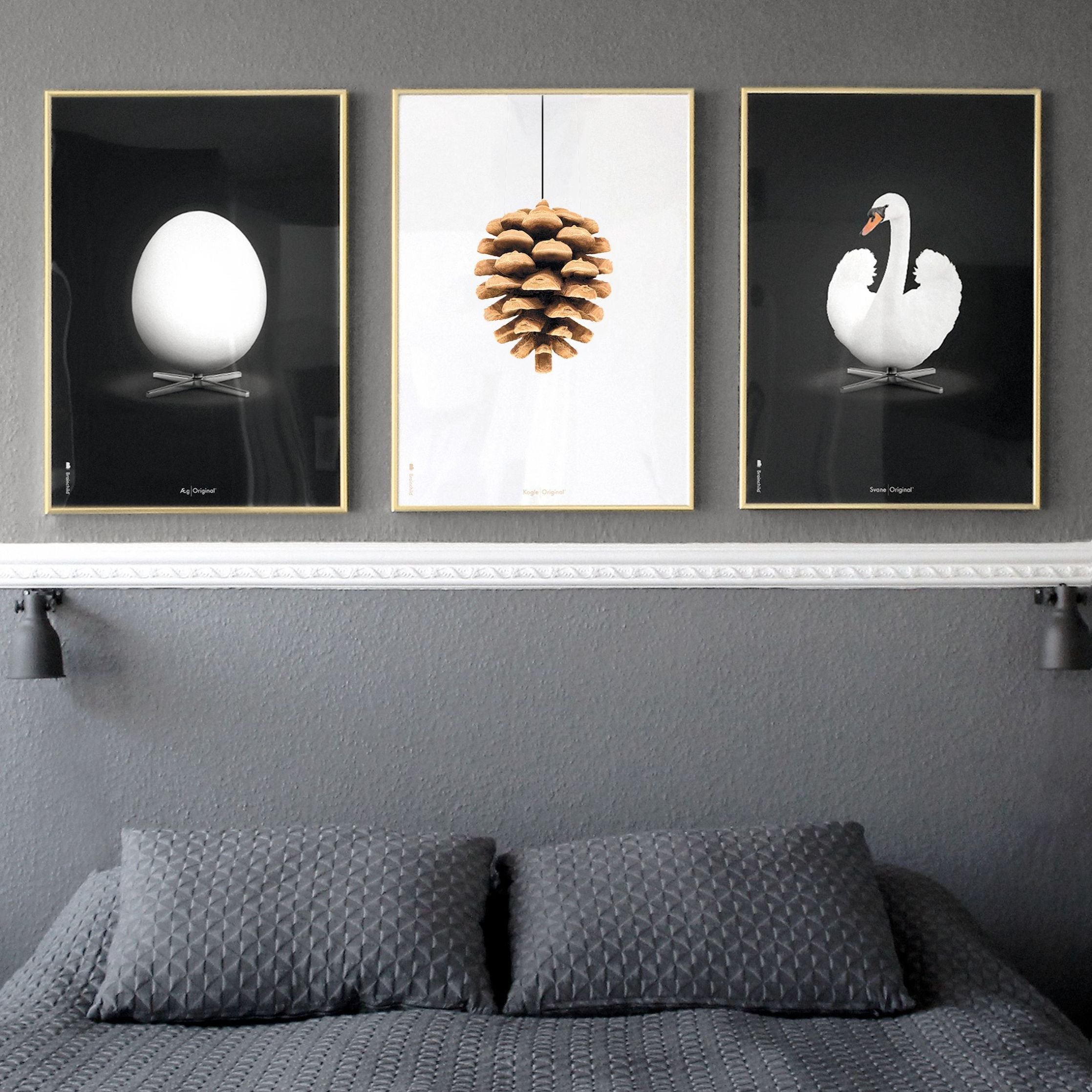 Klasický plakát s labutí mozek, rám vyrobený z lehkého dřeva 30x40 cm, bílé/bílé pozadí