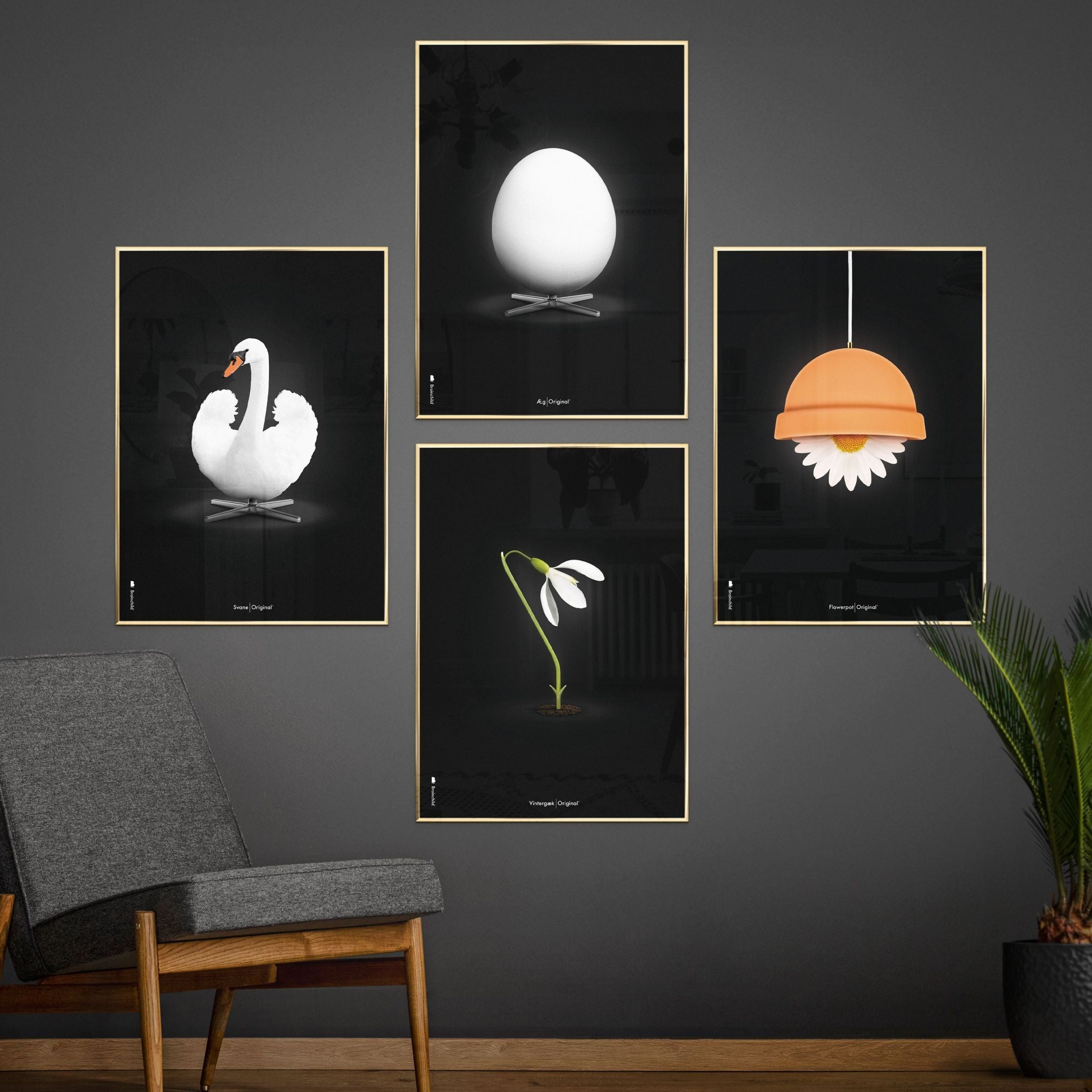 Klasický plakát s labutí mozek, rám vyrobený z lehkého dřeva 30x40 cm, bílé/bílé pozadí