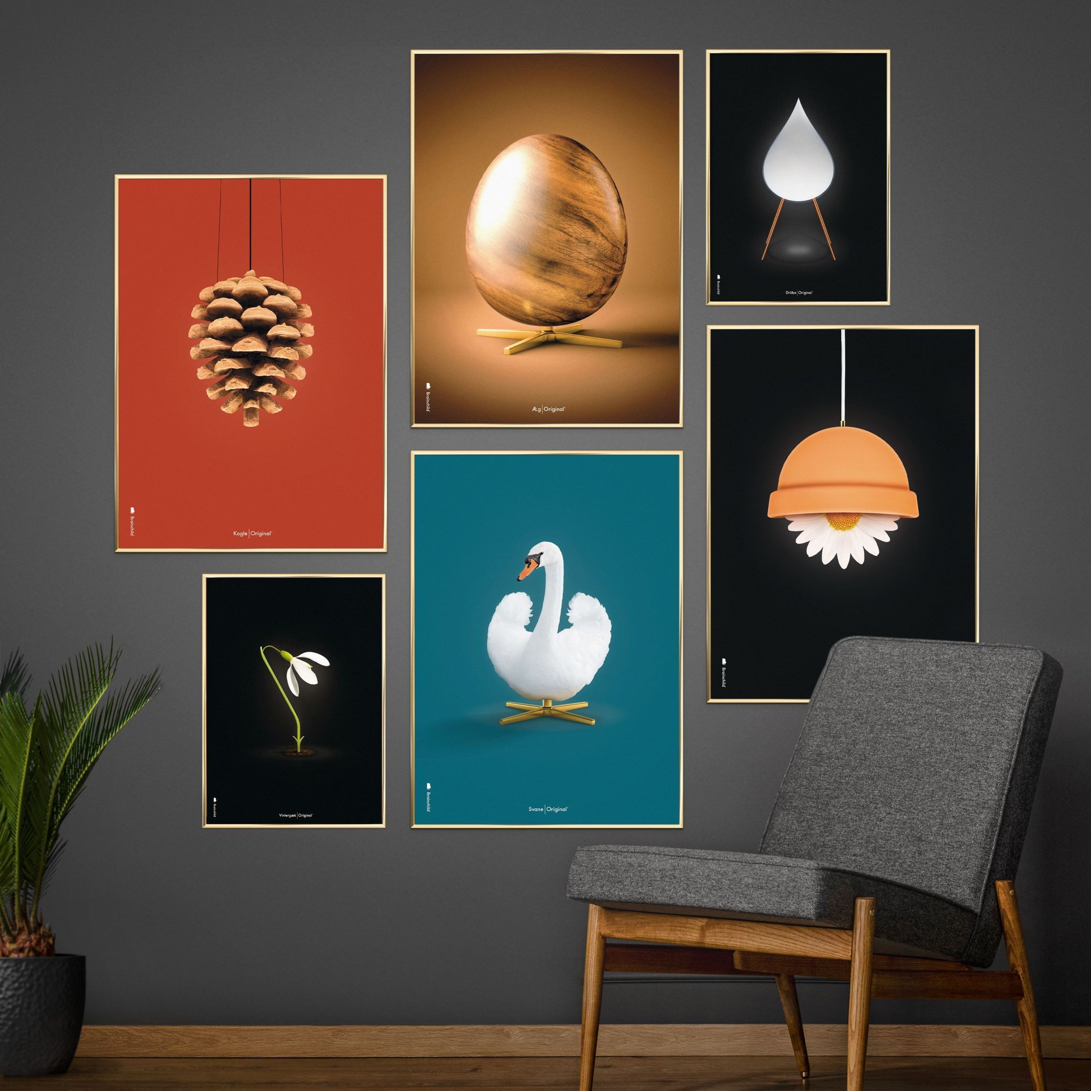 Brainchild Swan Classic Poster, Light Wood Frame 50 X70 Cm, Petroleum Blue Background