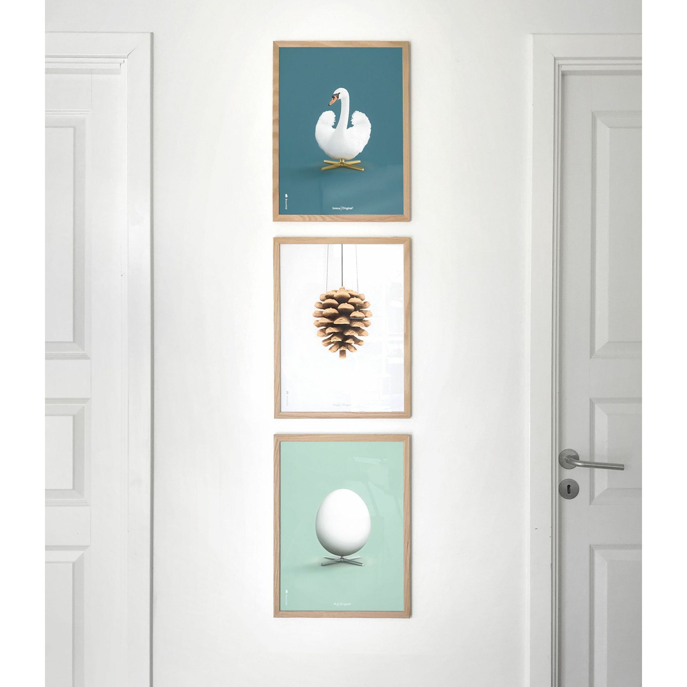 Klasický plakát s labutí mozek, lehký dřevěný rám 50 x70 cm, ropné modré pozadí