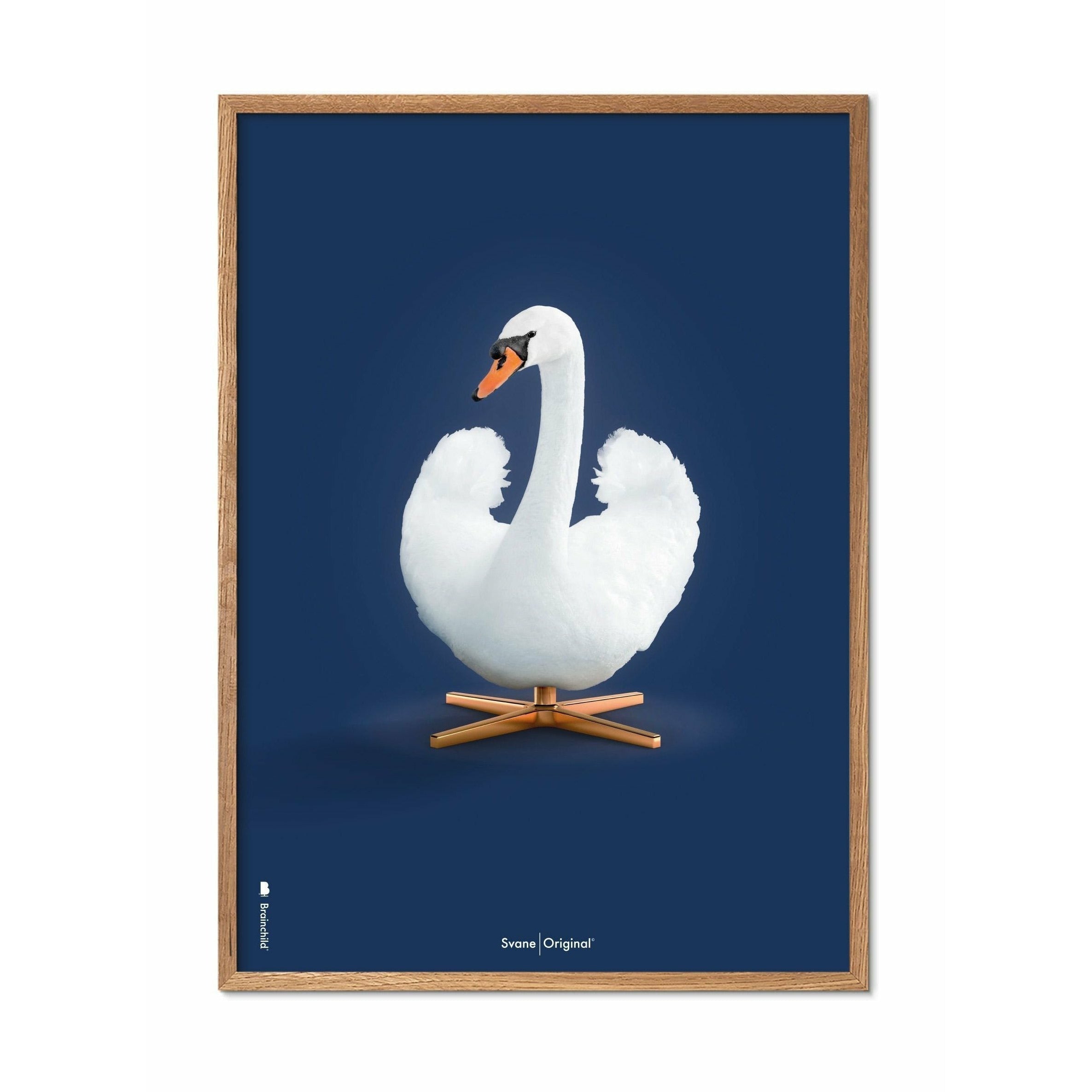 Klasický plakát s labutí mozek, rám vyrobený z lehkého dřeva 70 x100 cm, tmavě modré pozadí