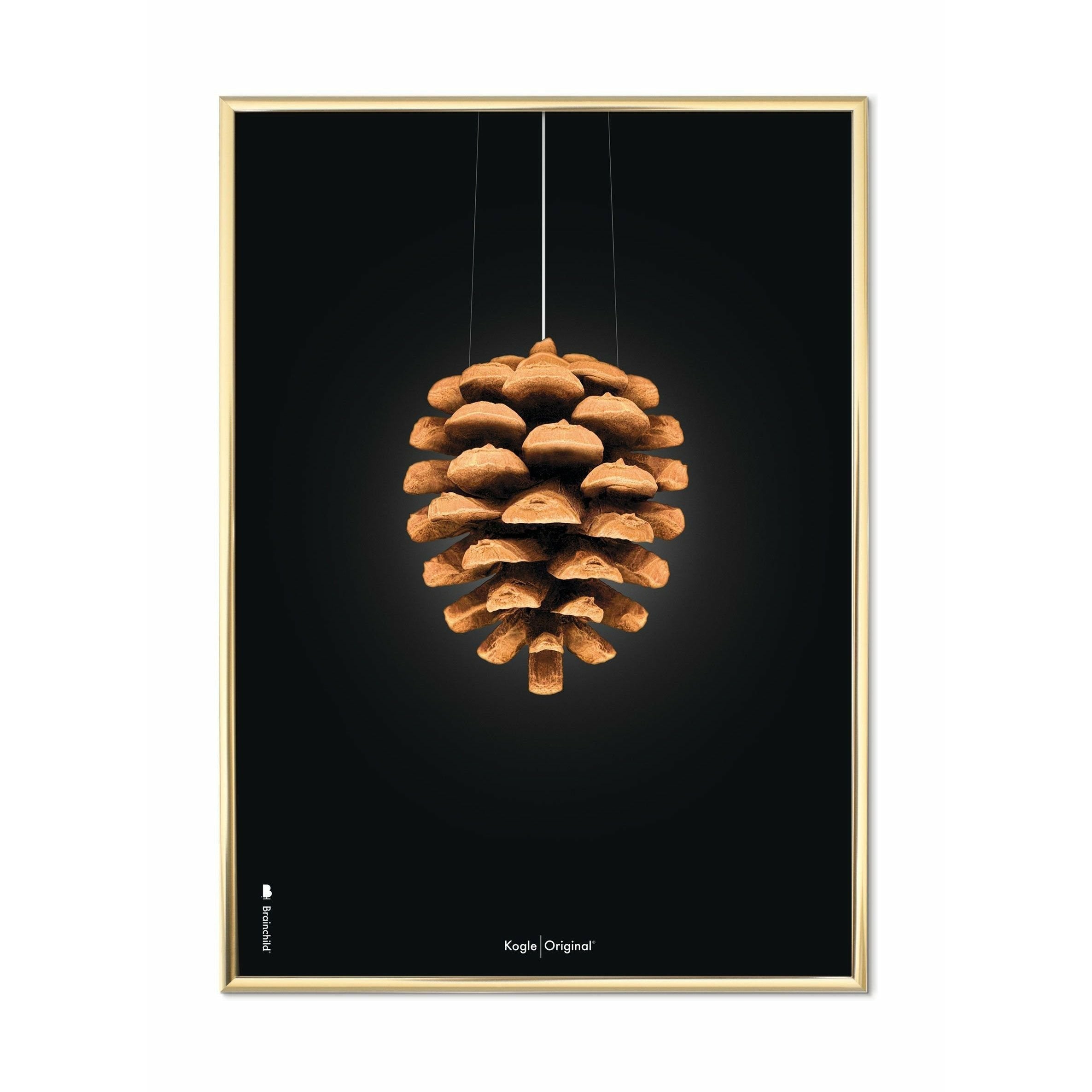 Brainchild Pine Cone Classic Poster, Brass Coloured Frame 30x40 Cm, Black Background