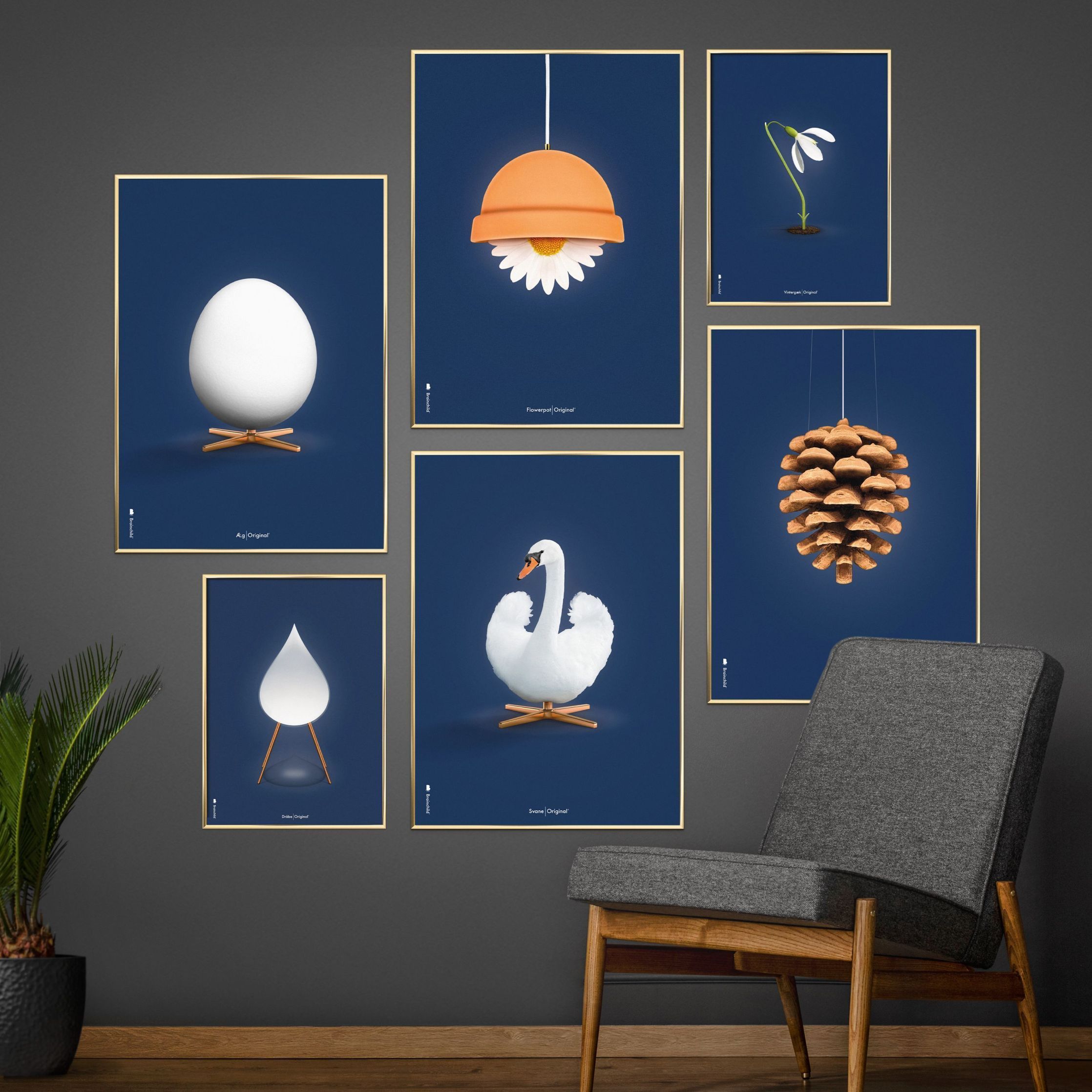 Brainchild Pine Cone Classic Poster, Frame Made Of Light Wood A5, Dark Blue Background