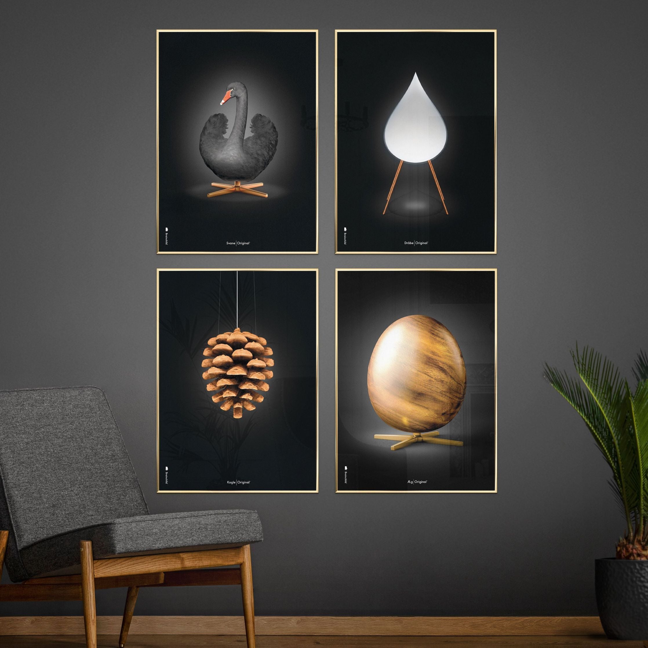 Klasický plakát z borového kužele mozků, rám vyrobený z lehkého dřeva A5, černé pozadí