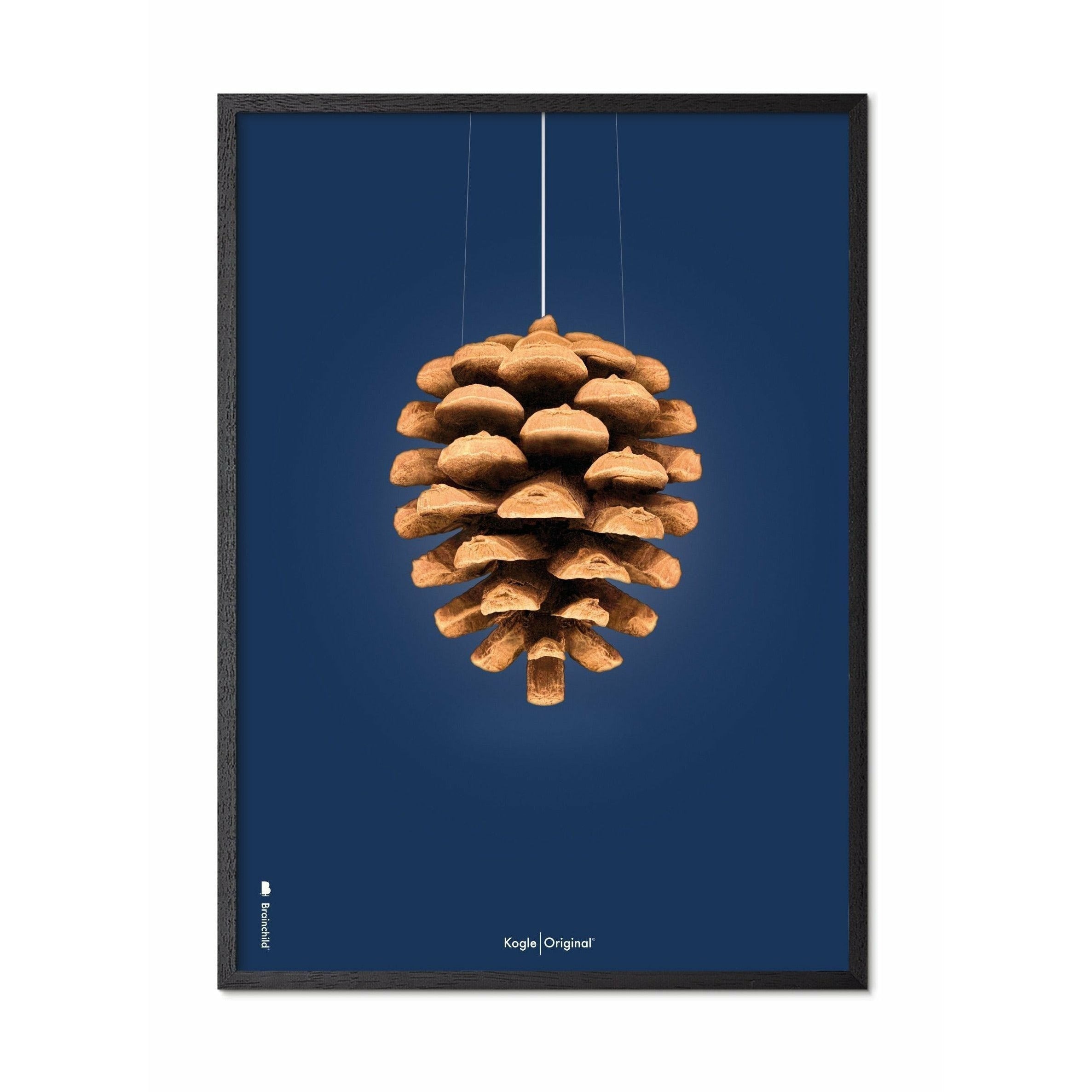 Klasický plakát mozkového kužele, rám v černém lakovaném dřevu A5, tmavě modré pozadí