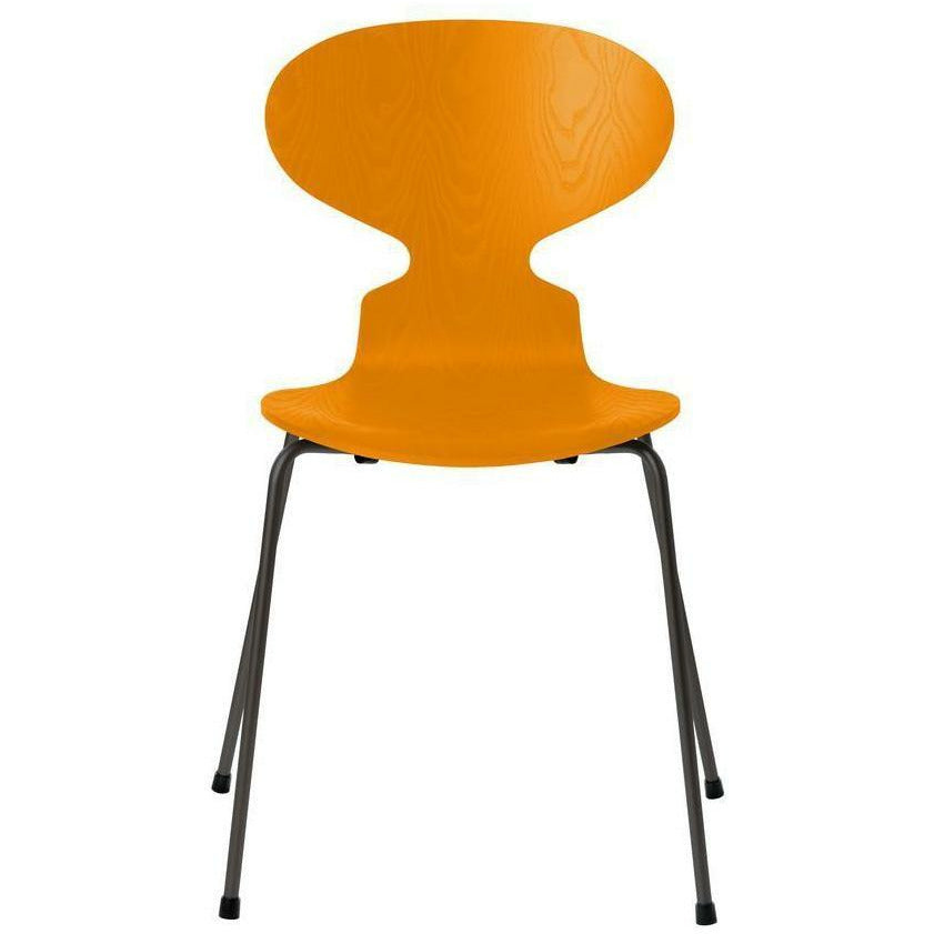 Fritz Hansen Ant Chair Dyed Ash Burnt Yellow Shell, Warm Graphite Base