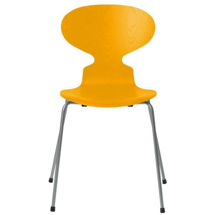 Fritz Hansen Ant Chair Colored Ash Pravá žlutá mísa, stříbrná šedá základna