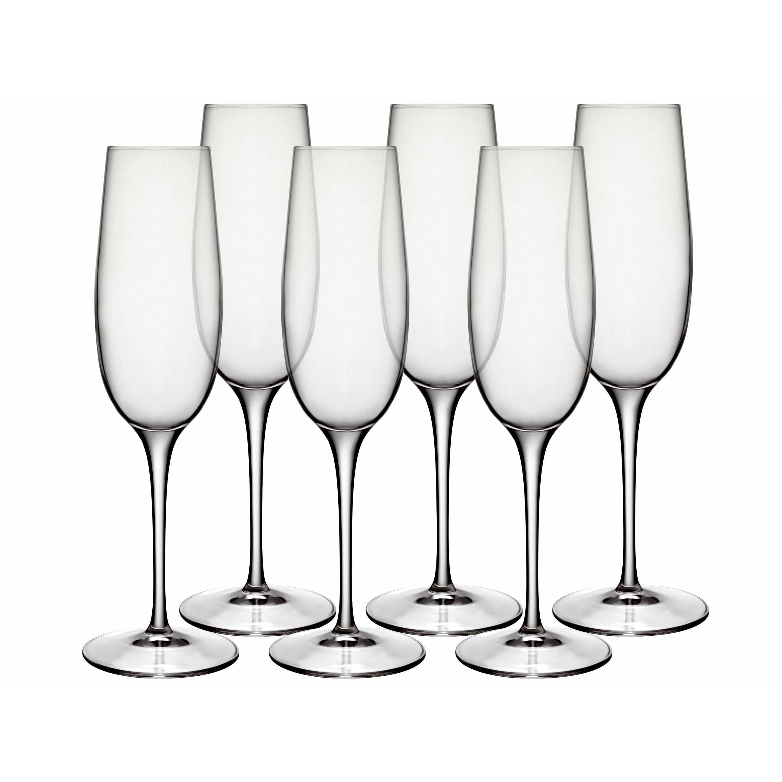 Luigi Borlioli Palace Champagne Glass, sada 6