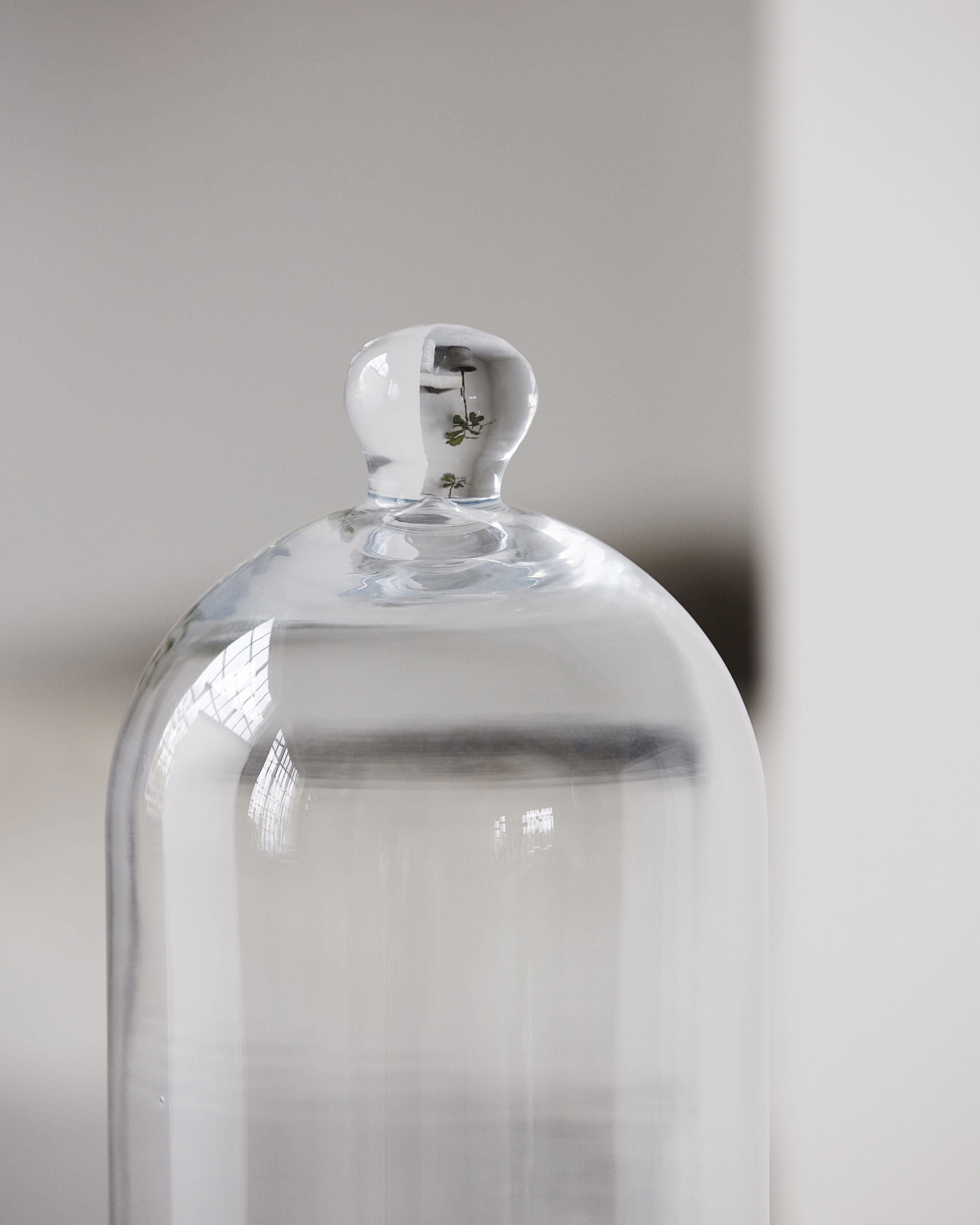 Glass Bell Meraki, 30 cm