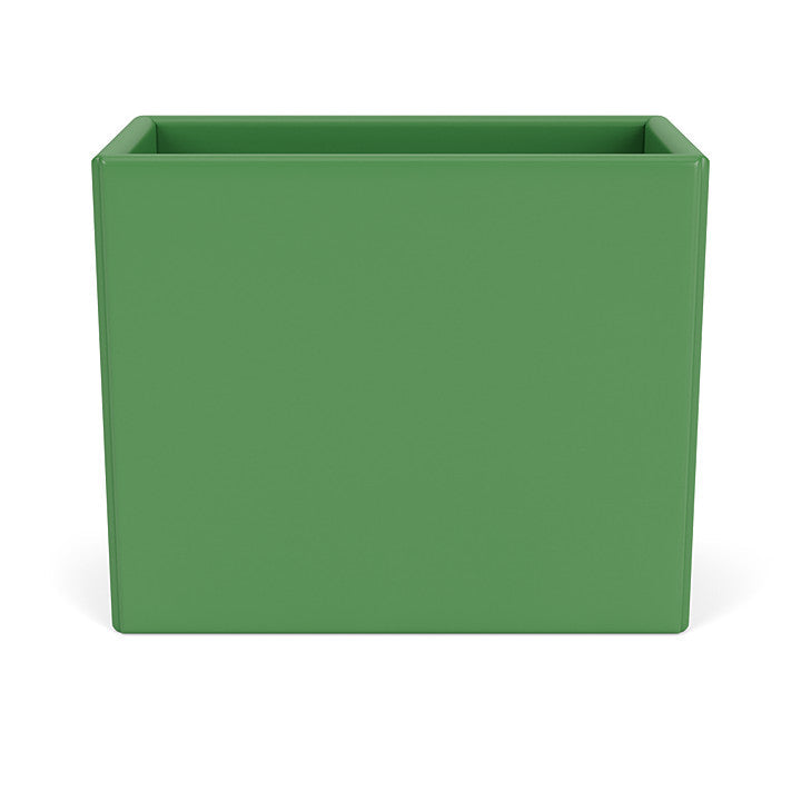 Montana Collect Organizer, Parsley Green