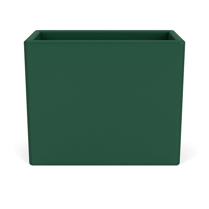 Montana Collection Organizátor, Pine Green