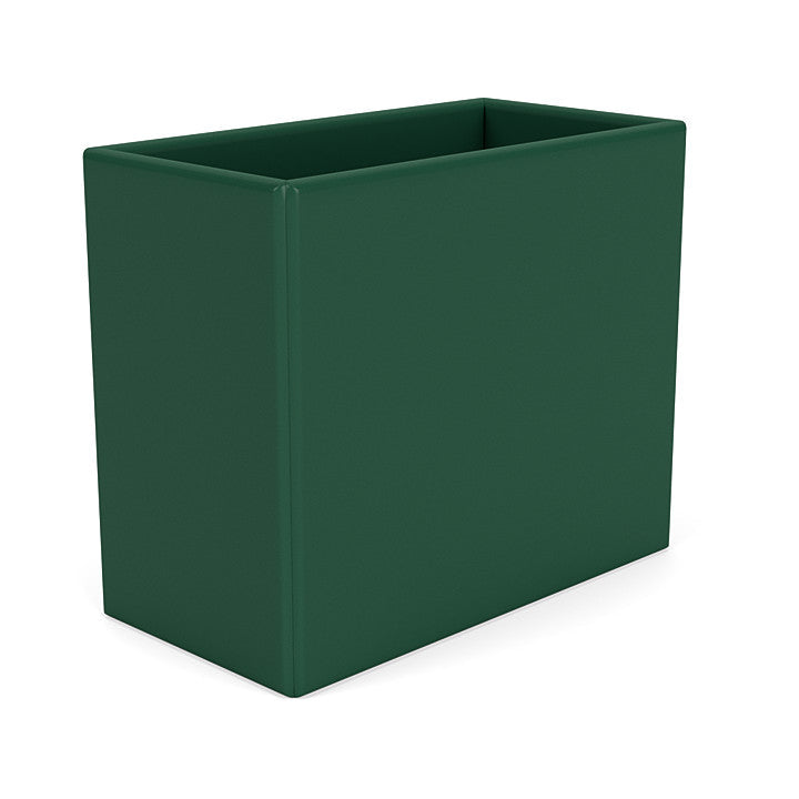 Montana Collection Organizátor, Pine Green