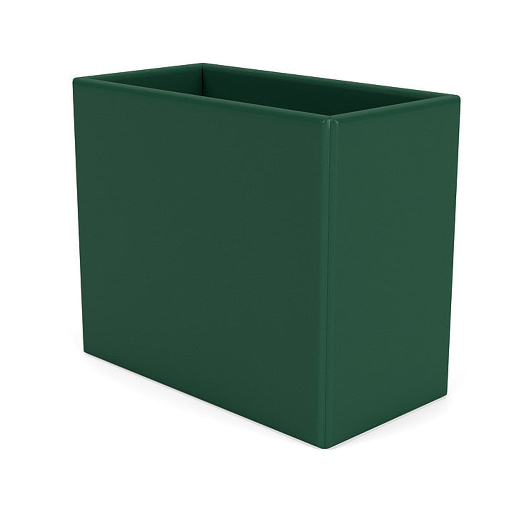 Montana Collection Organizátor, Pine Green