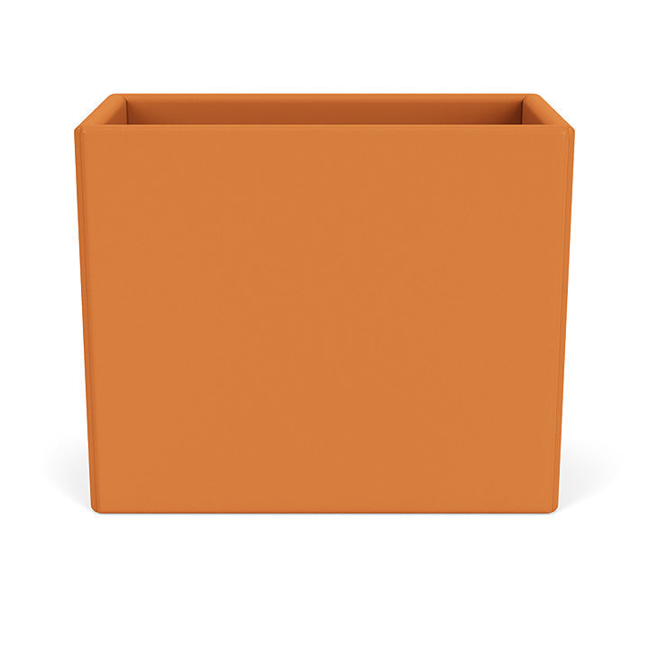 Montana Collect Organizer, Turmeric Yellow