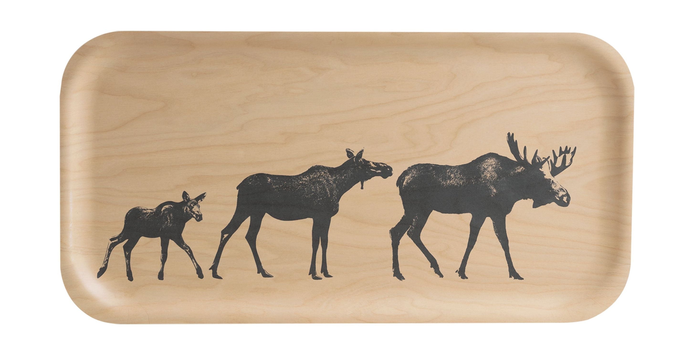 MUURLA TRAY, rodina Moose