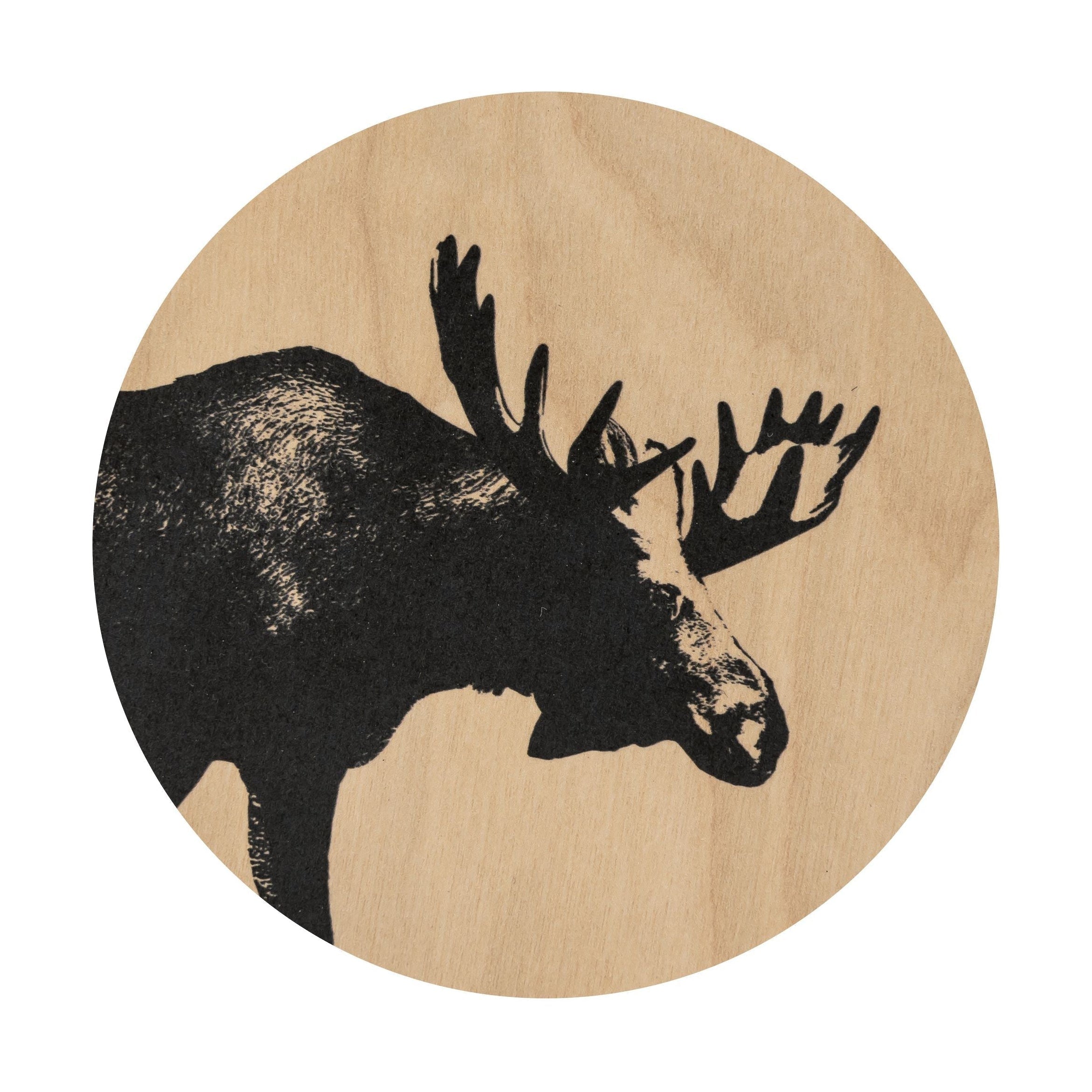 Muurla Coaster, Moose