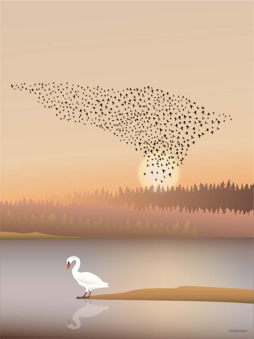 Vissevasse Murmuration Poster, 70x100 Cm