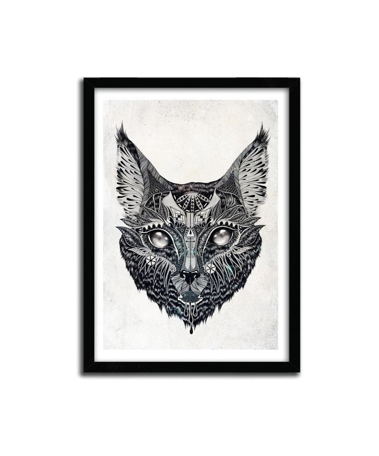 Afiche Lynx od kočičí zegers
