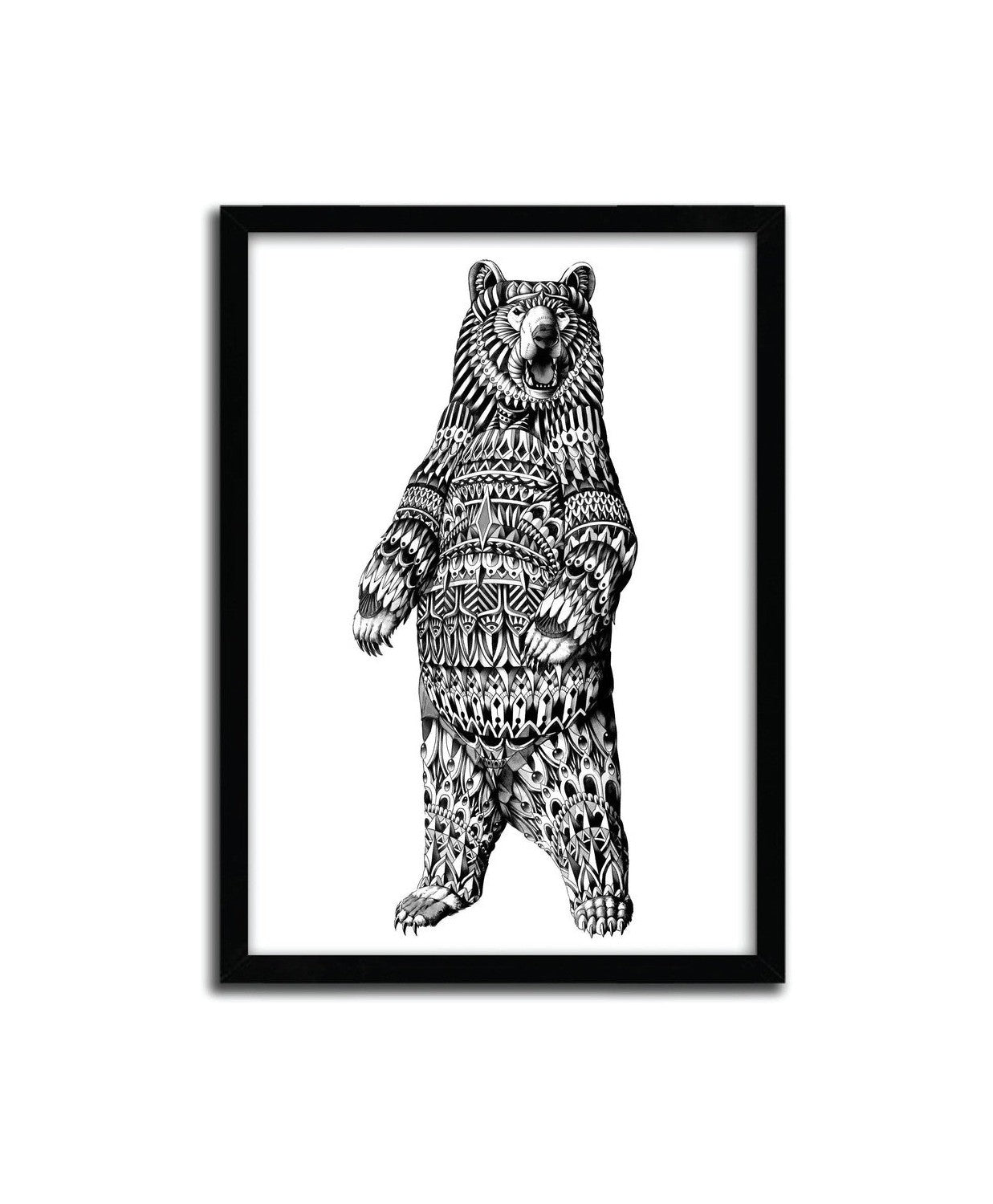 Afiche ozdobný grizzly medvěd od Bioworkz