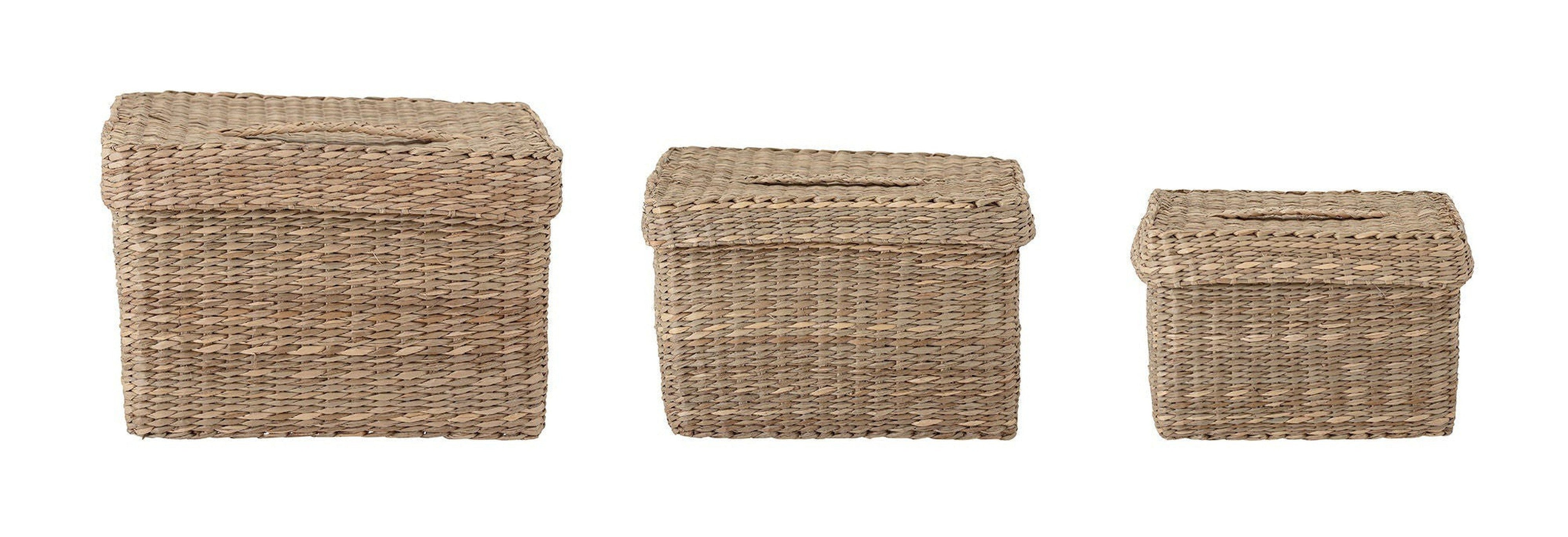 Bloomingville Givan Basket w/Lid, Nature, Seagrass