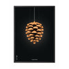  Pine Cone Classic Poster Frame In Black Lacquered Wood A5 Black Background