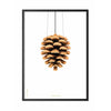  Pine Cones Classic plakát rám v černém lakovaném dřevu 30x40 cm bílé pozadí