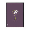  Snowdrop Classic Poster Black Lacquered Wood Frame A5 Purple Background