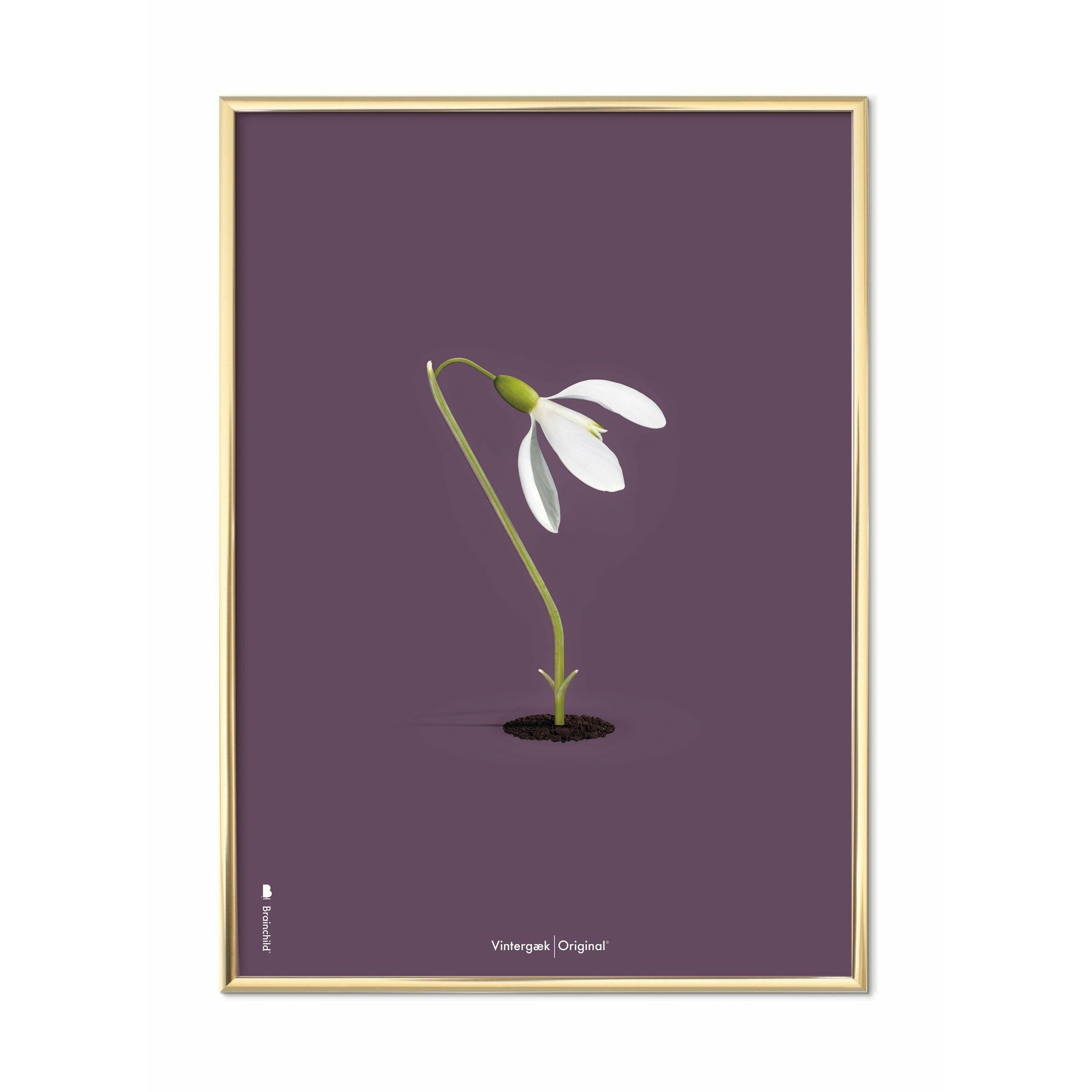 [product_category]-Brainchild Snowdrop Classic Poster, Brass Frame 30x40 Cm, Purple Background-Brainchild-62002-D-BRA-1