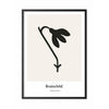  Snowdrop Design Icon Poster Frame In Black Lacquered Wood 50x70 Cm Grey