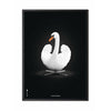  Swan Classic Poster Frame In Black Lacquered Wood 30x40 Cm White/White Background