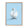  Swan Classic Poster Frame Made Of Light Wood 50x70 Cm Light Blue Background