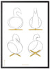 Brainchild Swan Design Sketches Poster Frame Made Of Black Lacquered Wood 70x100 Cm, White Background