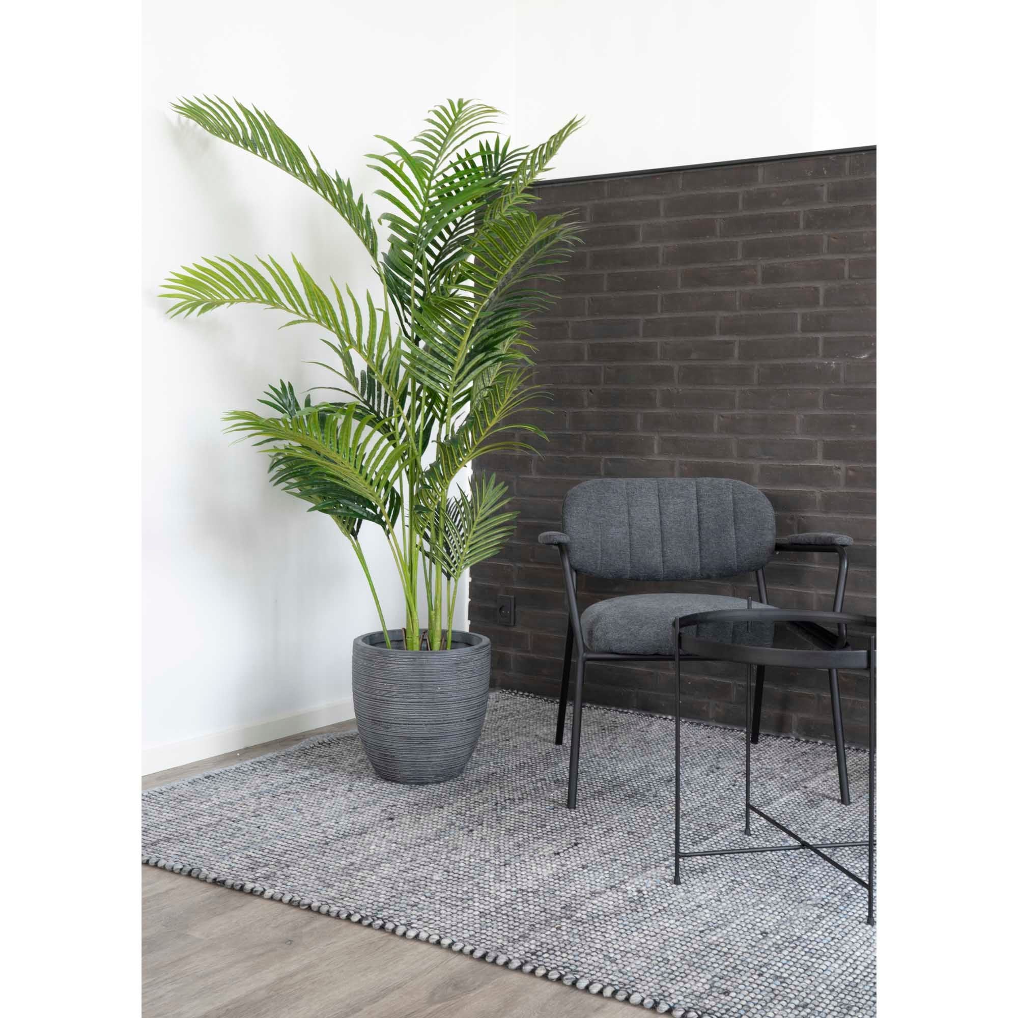 House Nordic Areca Palm