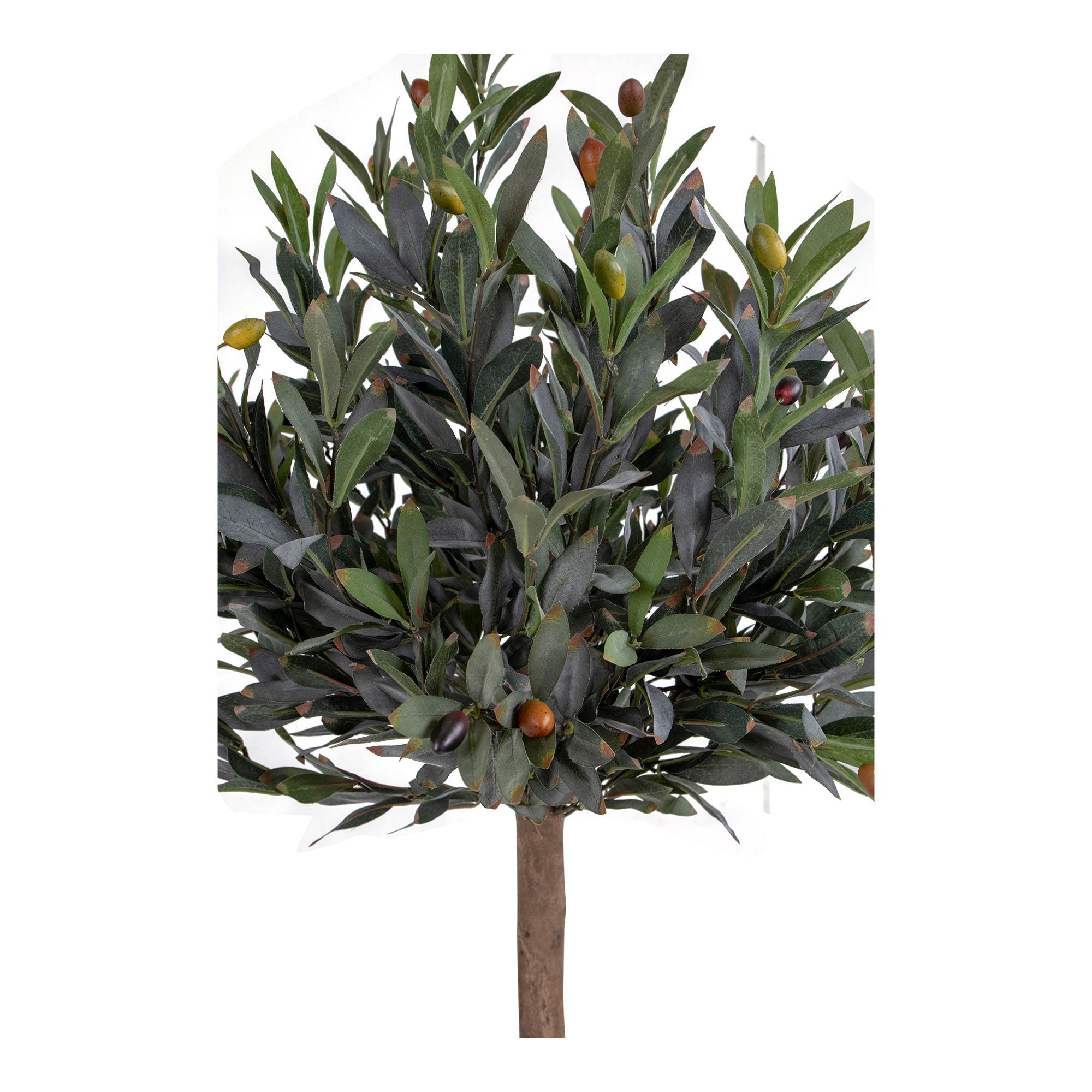 House Nordic Olive Tree