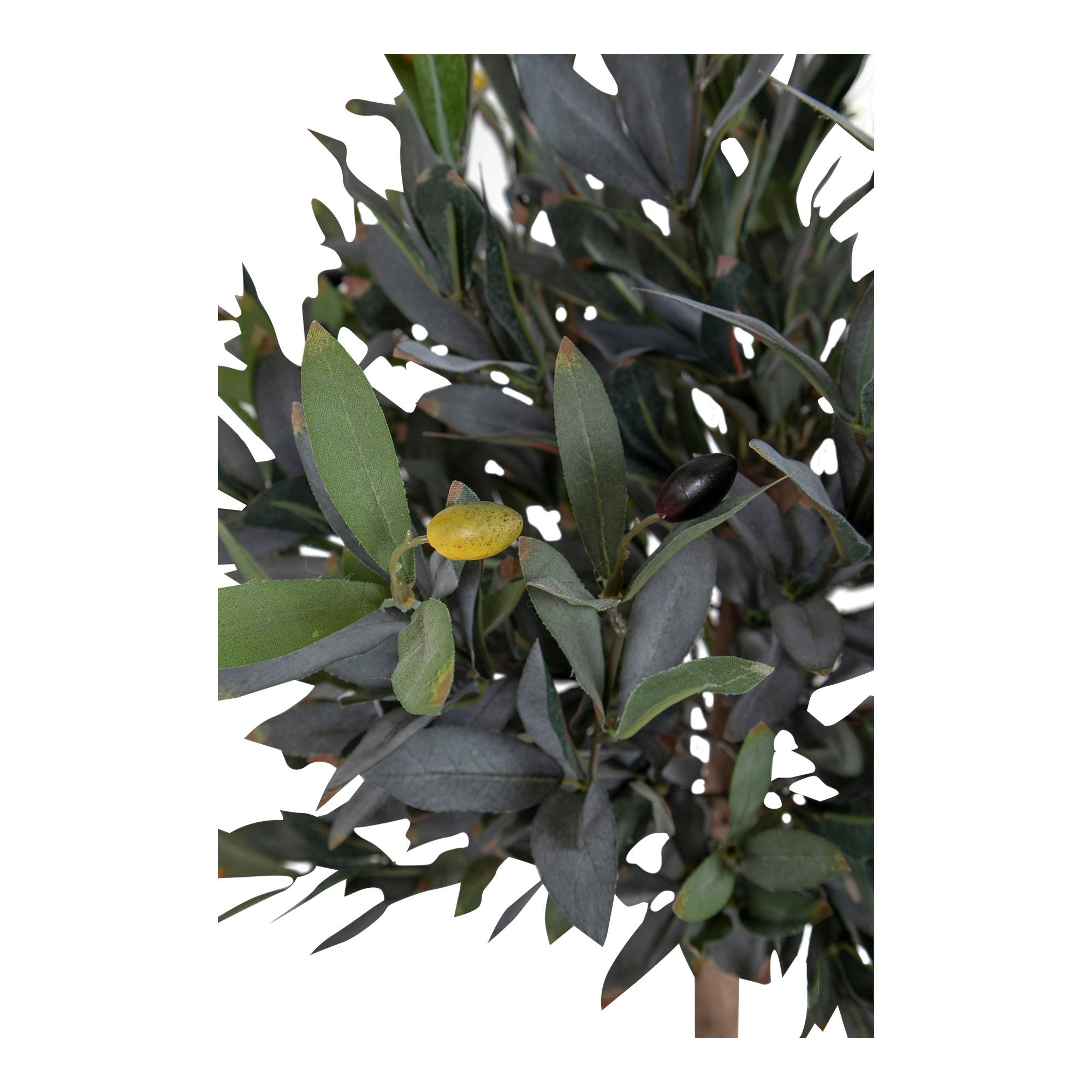 House Nordic Olive Tree