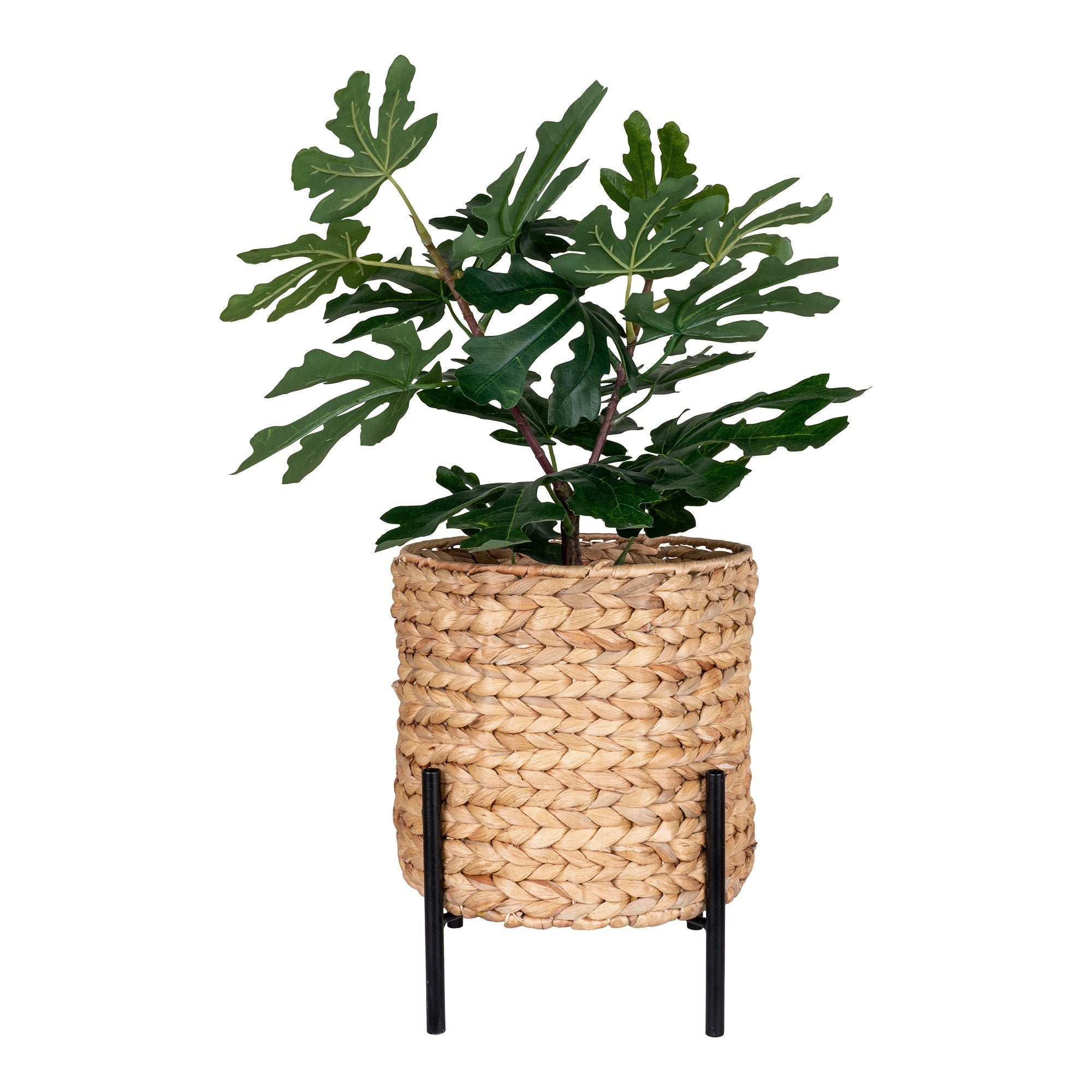 House Nordic AntAs Planter