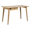 FDB Møbler C67 Butler Desk, dub, 120 cm