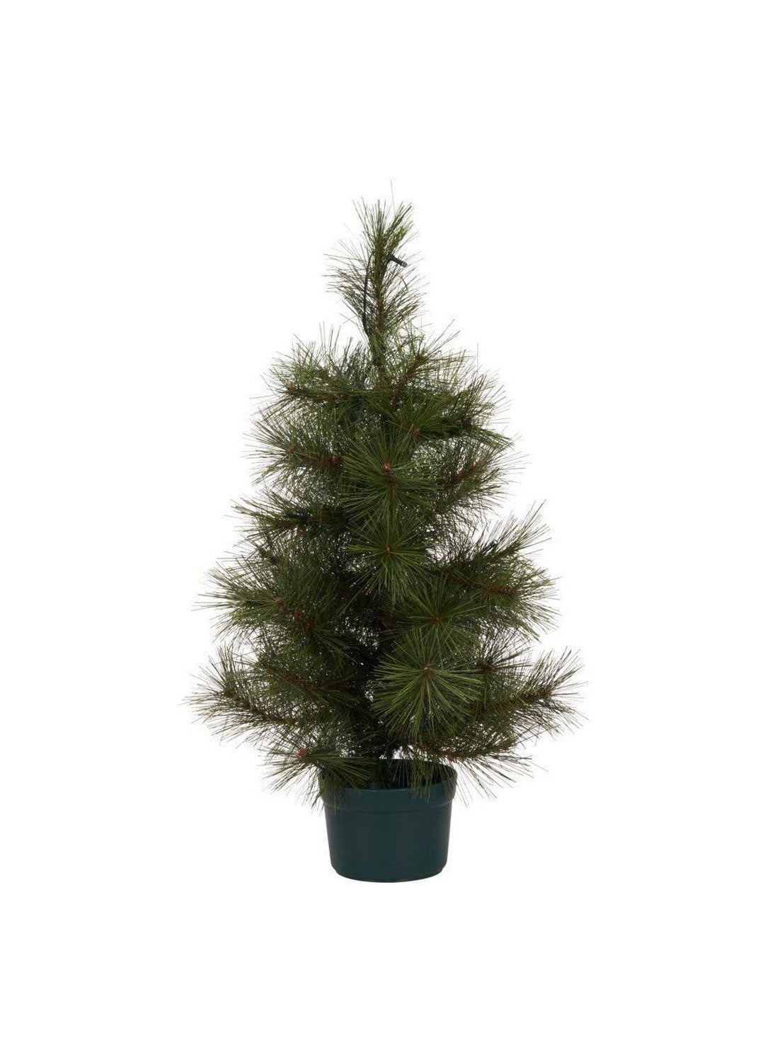 House Doctor Christmas tree w. LED, HDPinus, Nature