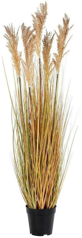 [product_category]-House Nordic Sorghum Grass-House Nordic-5713917008766-9501070-HOU-1